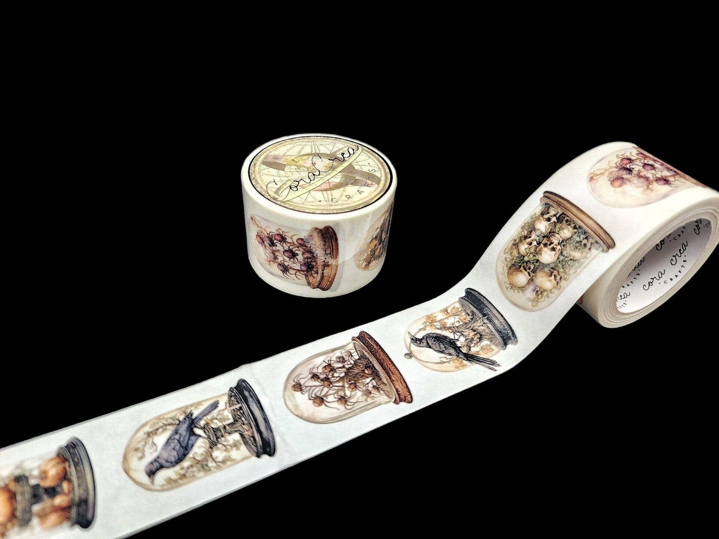 Specimen Display Domes Tapes: Transparent/PET tape