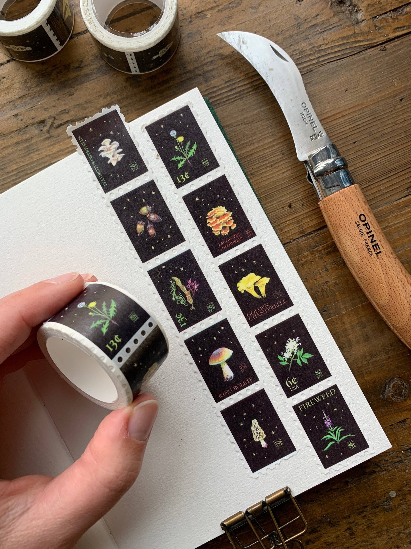 🌿 Foraging Stamp Washi Tape