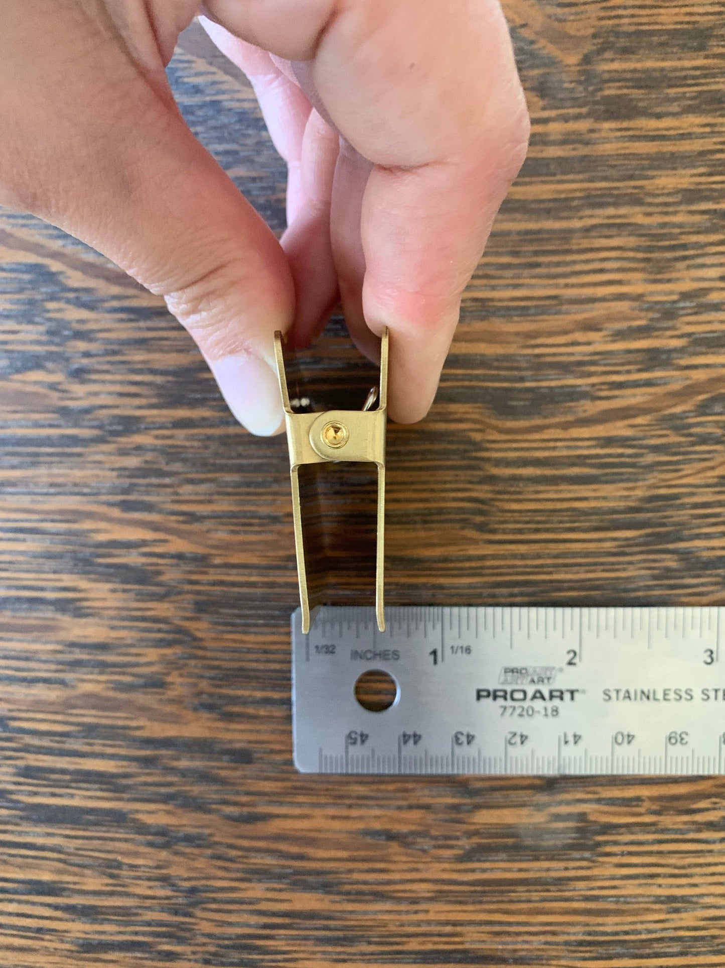 Draco Brass Journal Clip