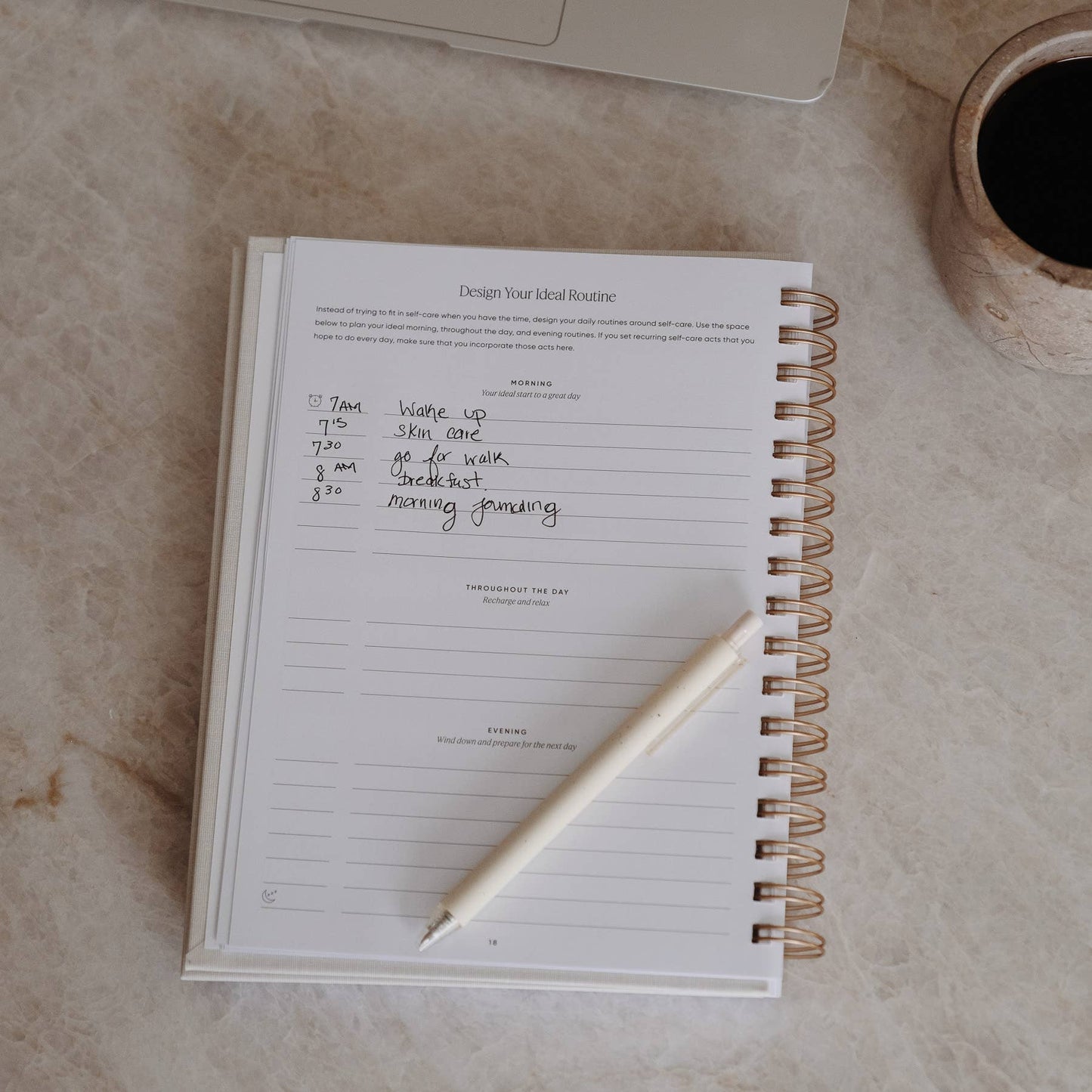 Self‑Care Planner – Daily Edition: Dusty Rose