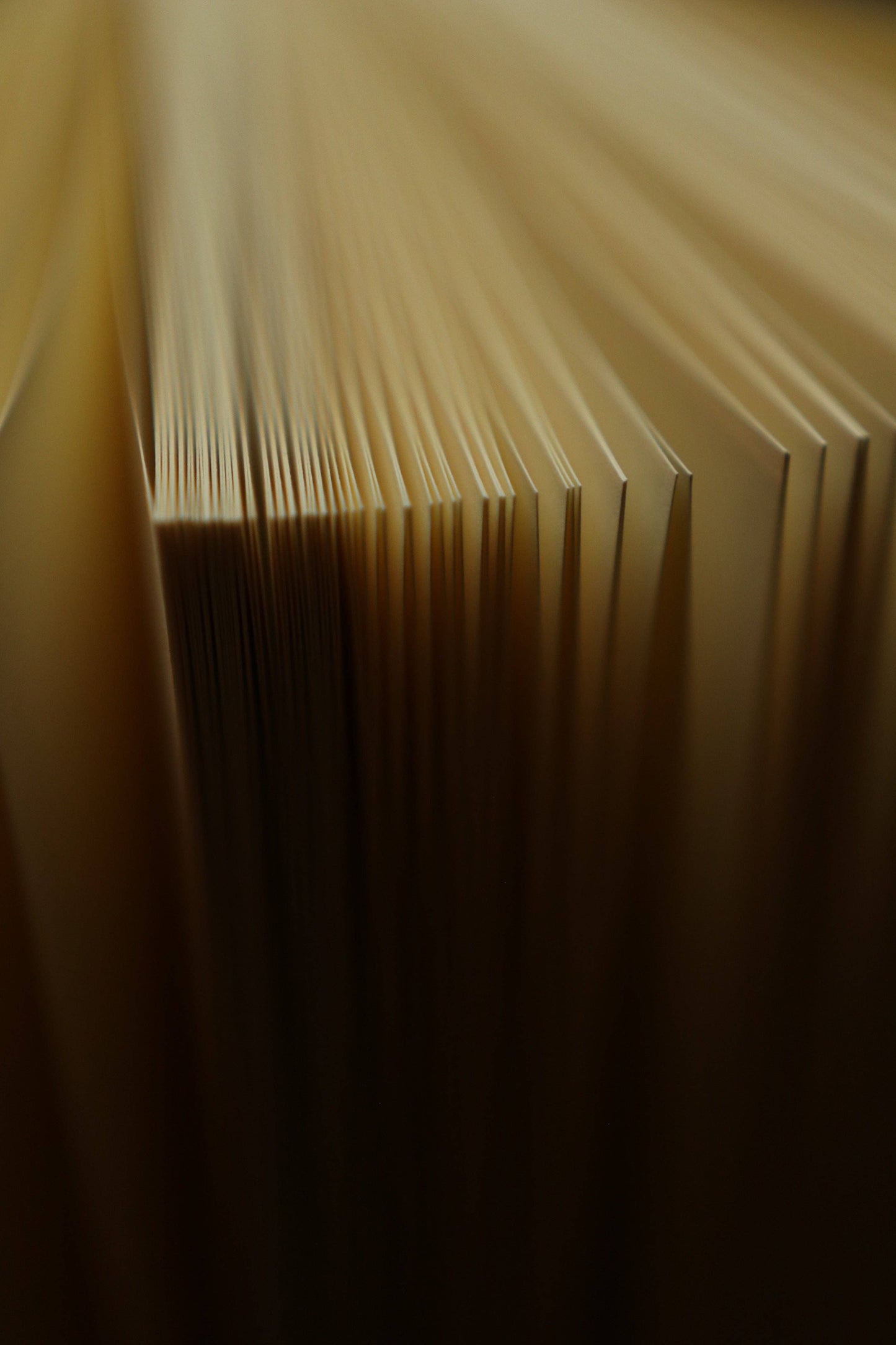 Handbook for the Recently Deceased Book-Style Journal