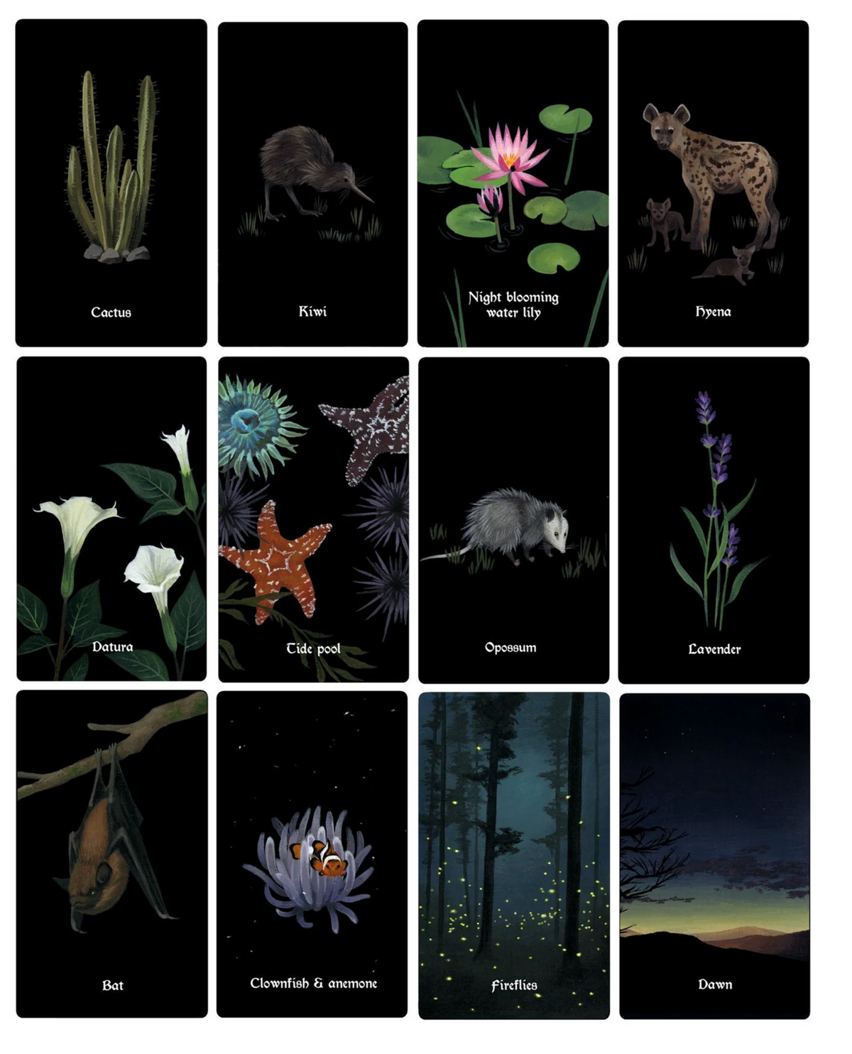Nocturna Oracle Deck – 48 Cards + Guidebook
