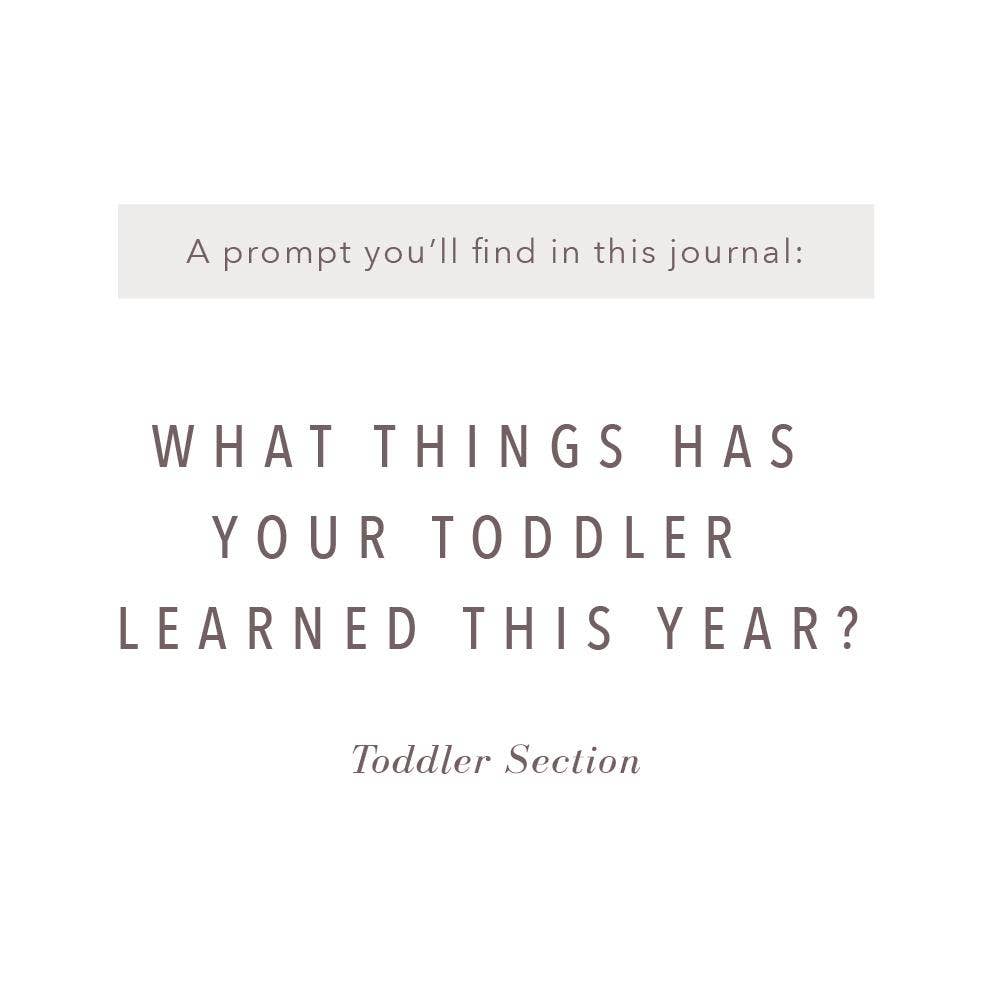 A Complete Childhood History: From Pregnancy to 18 Years Old - Dusty Blue Leatherette