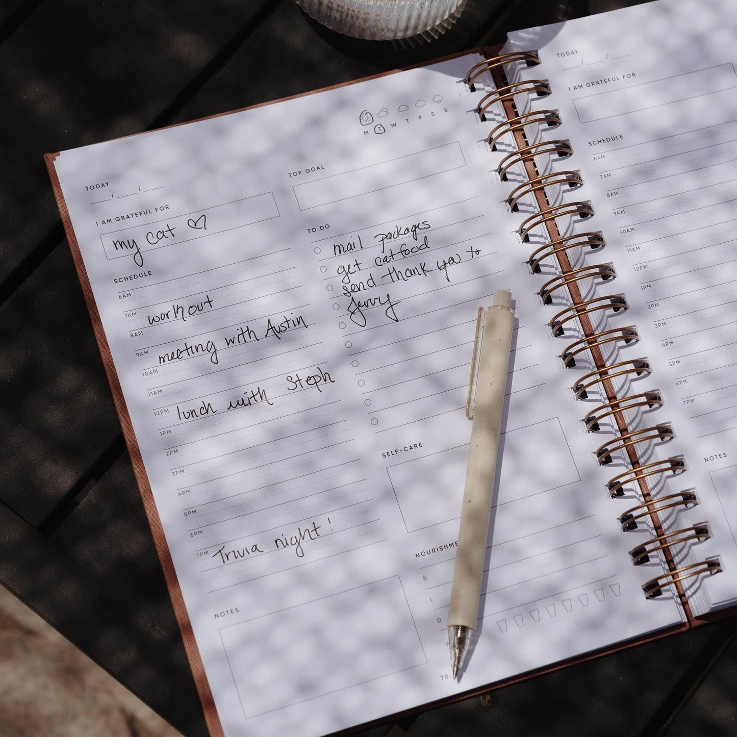 Self‑Care Planner – Daily Edition: Dusty Rose