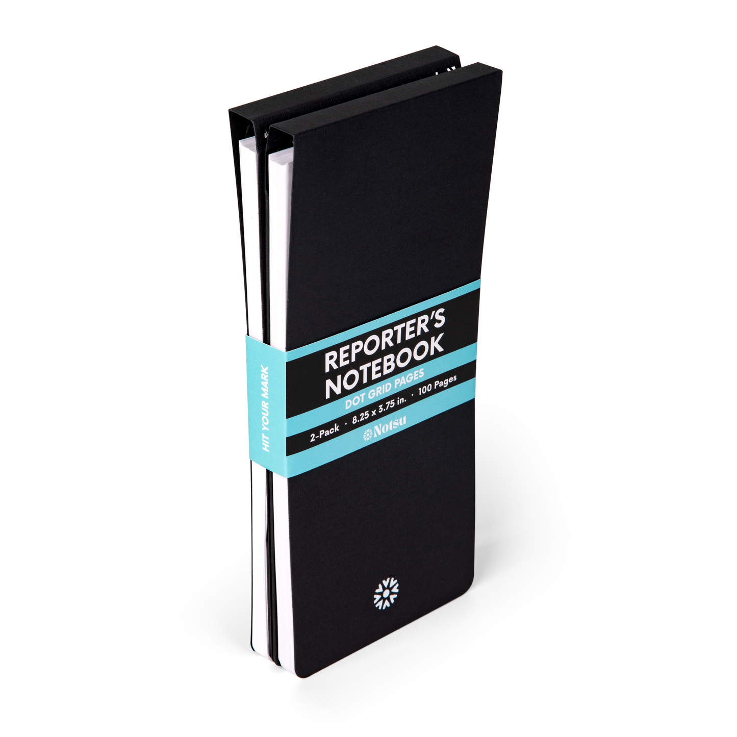 Reporter's Notebook Dot Grid (Pack of 2) 8.25"x3.75"