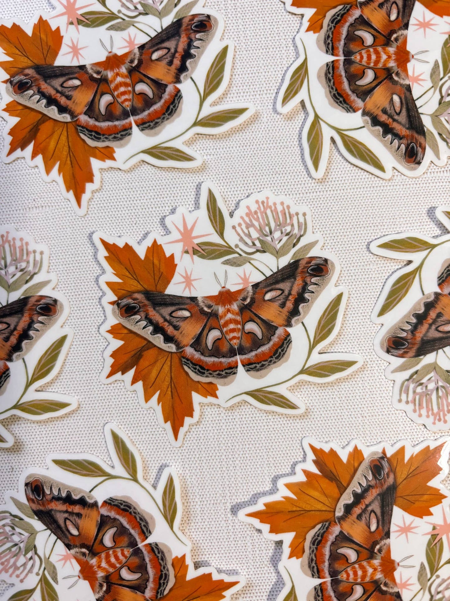 Cecropia Moth Clear Vinyl Sticker - 2x3"