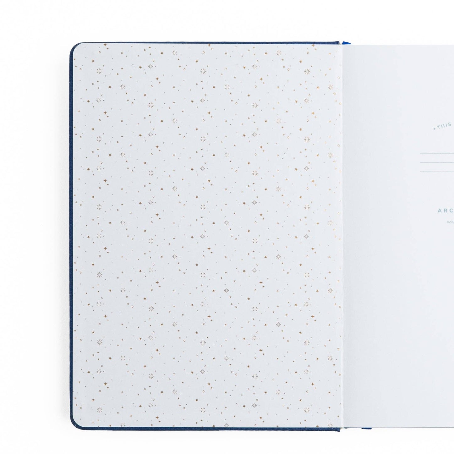 Archer and Olive A5 Dot Grid Firefly Night Notebook Bullet Journal