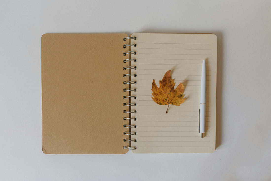 September Journaling Prompts: Fresh Starts & Fall Intentions