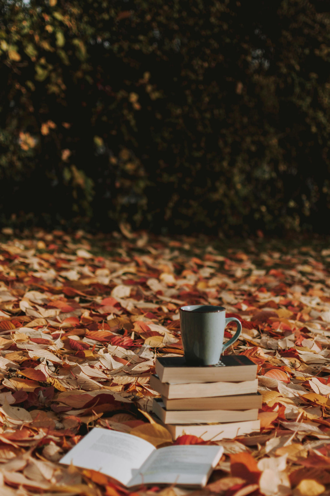 Why Autumn Is a Great Time to Start a New Journal