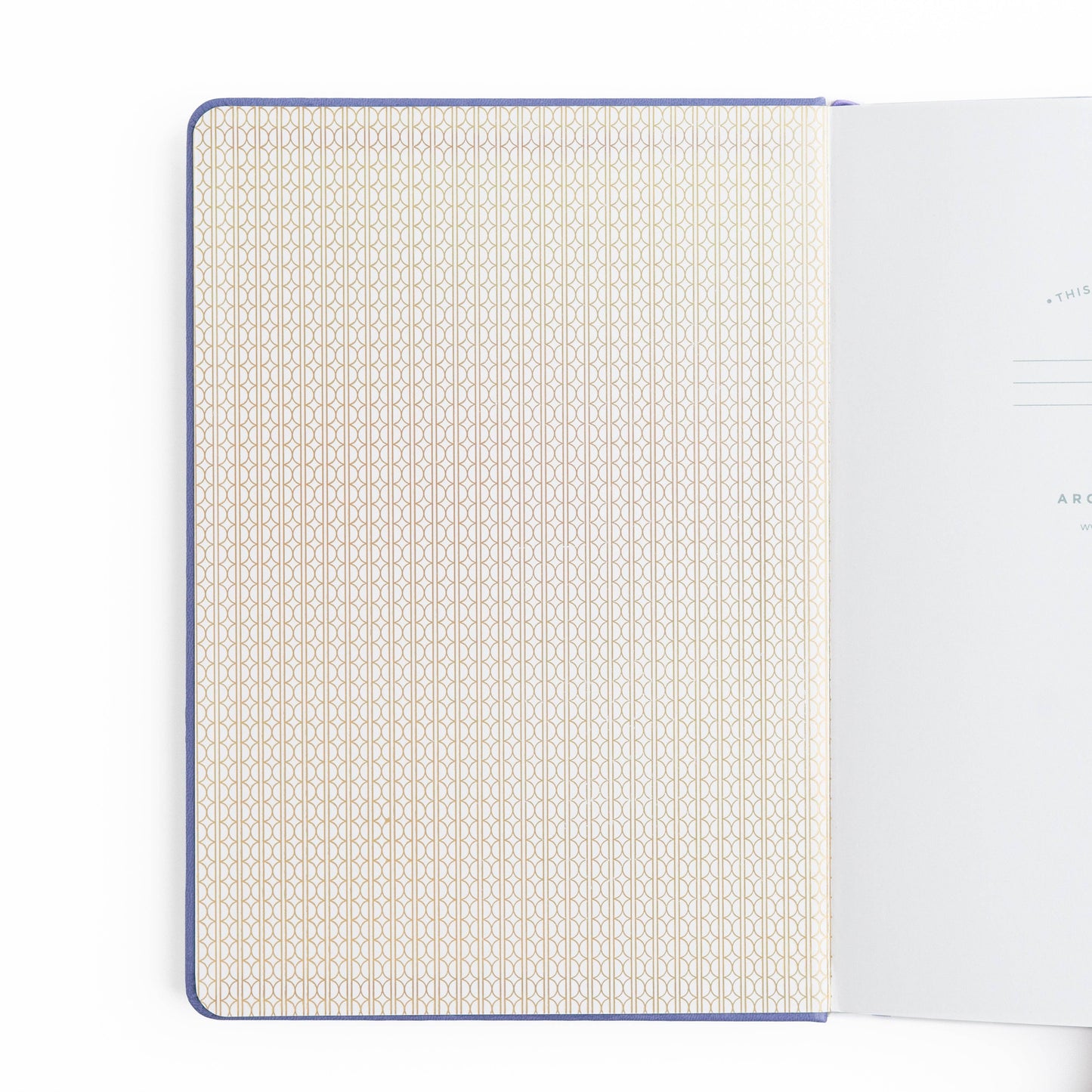 Dragon Spire Notebook: IN STOCK / Dot Grid / B5: 160 Pages