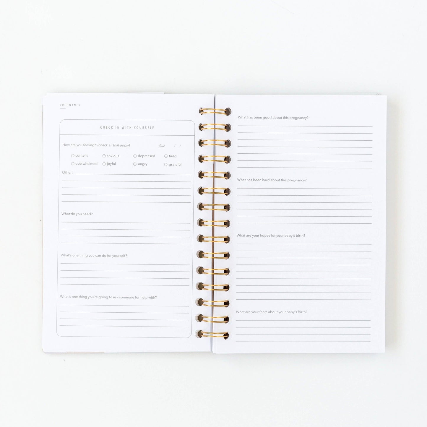 My Postpartum Journal: Cashew Leatherette