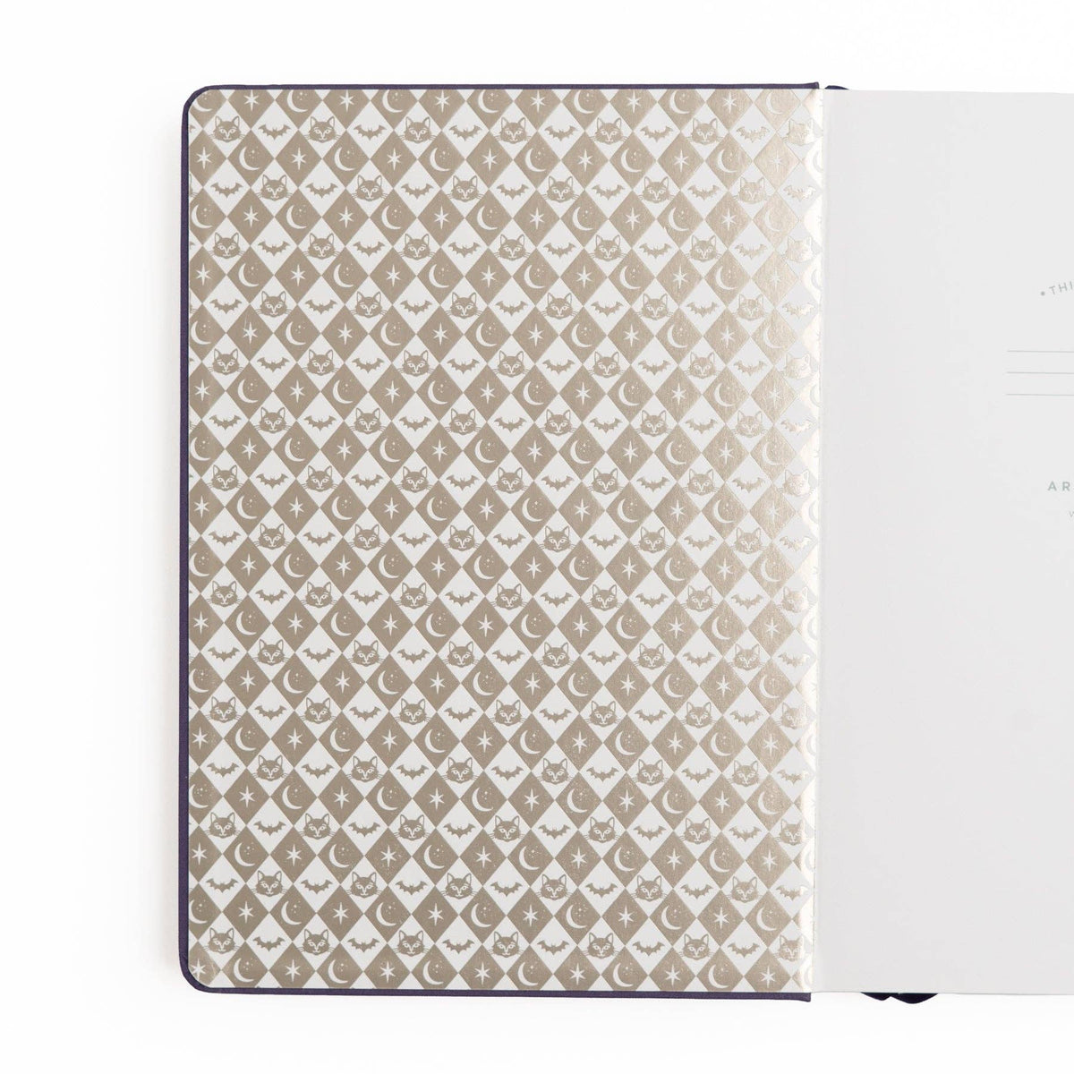 Bewitched | Notebook: White Dot Grid / B5: 160 Pages