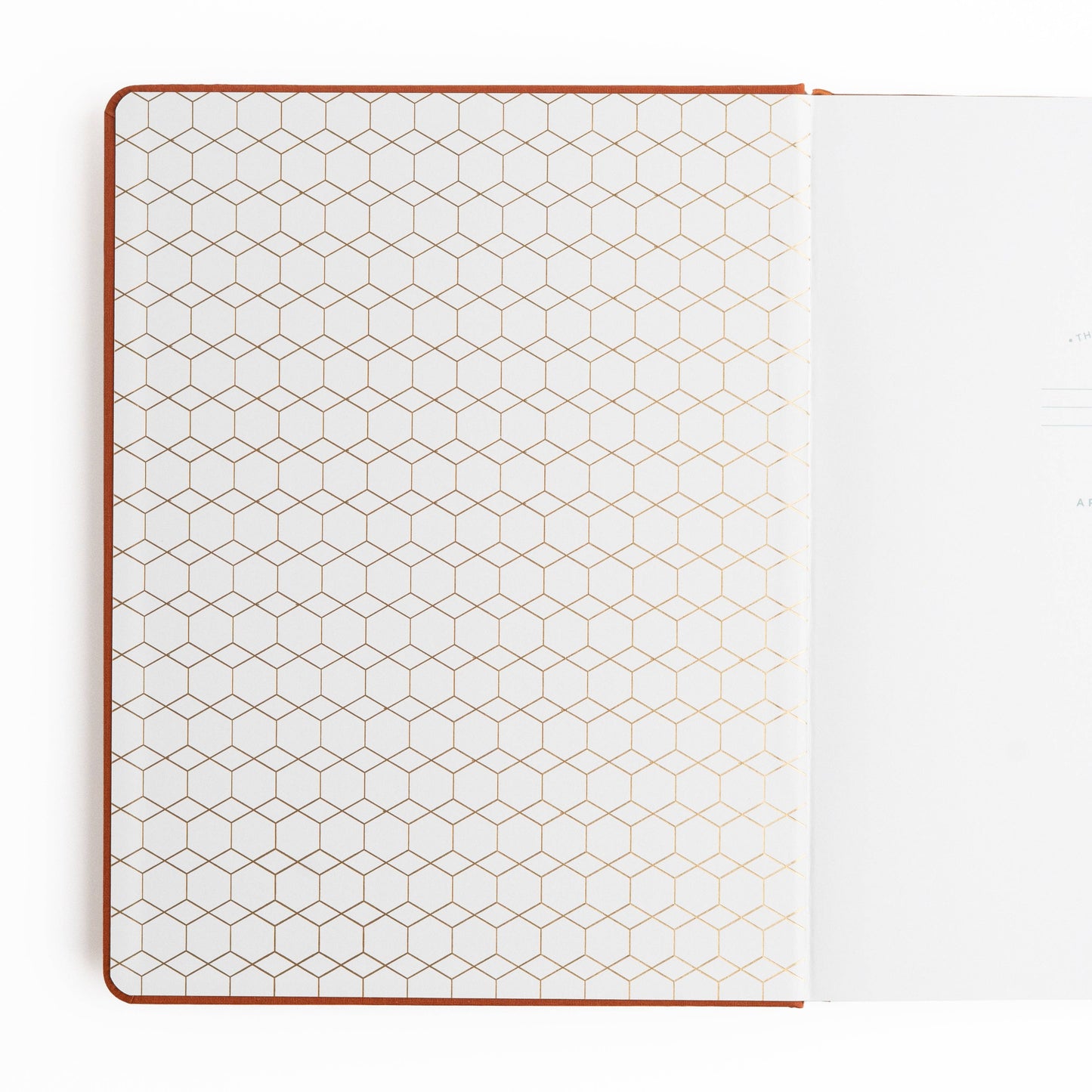 Keeper of Bees in Rust | Books: Ivory Dot Grid / A5: 192 Pages