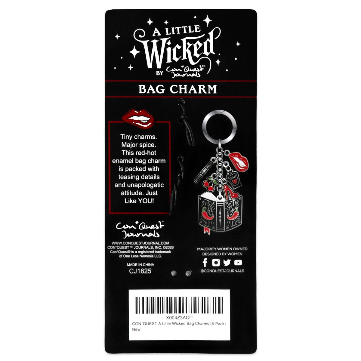 A Little Wicked Bag Charm (Original Artwork)