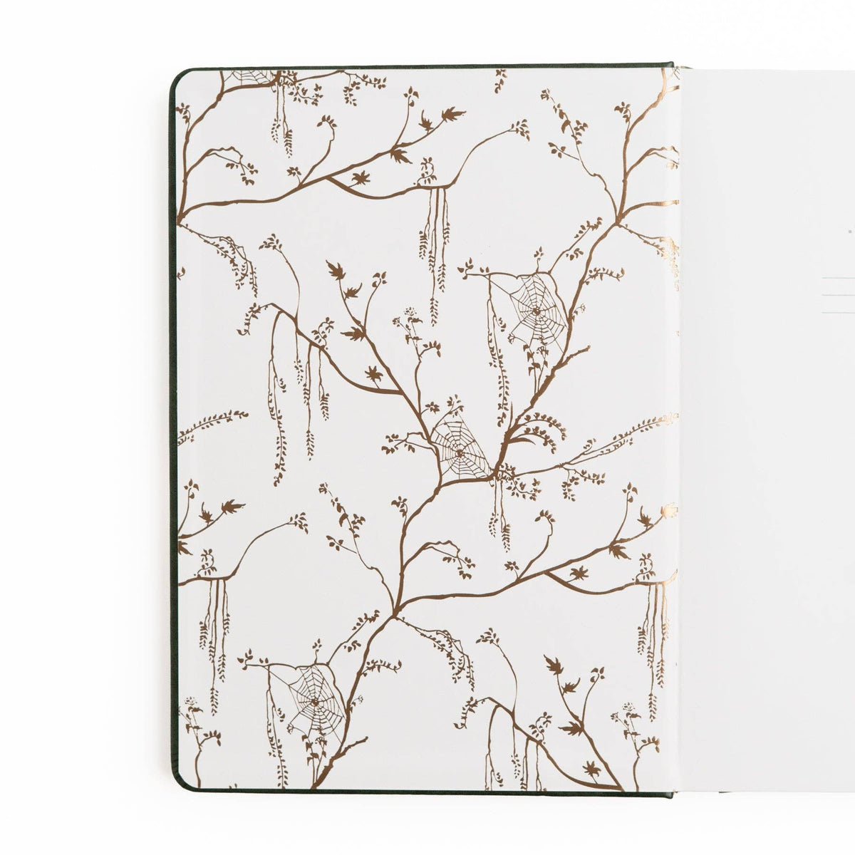 Apothecary Shelf | Notebook: White Dot Grid / B5: 160 Pages