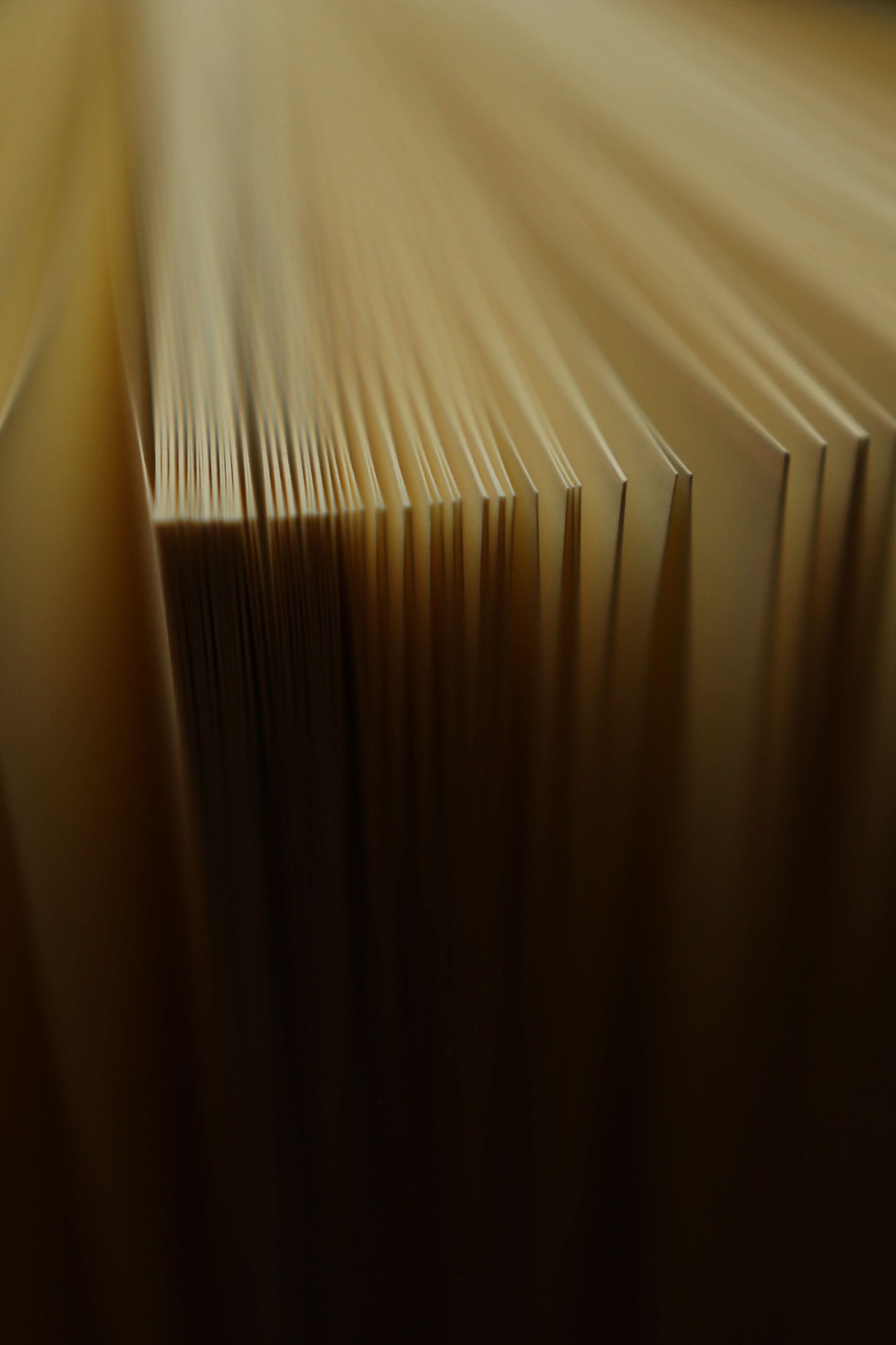 Dracula Literary Journal – Classic Book-Style Notebook