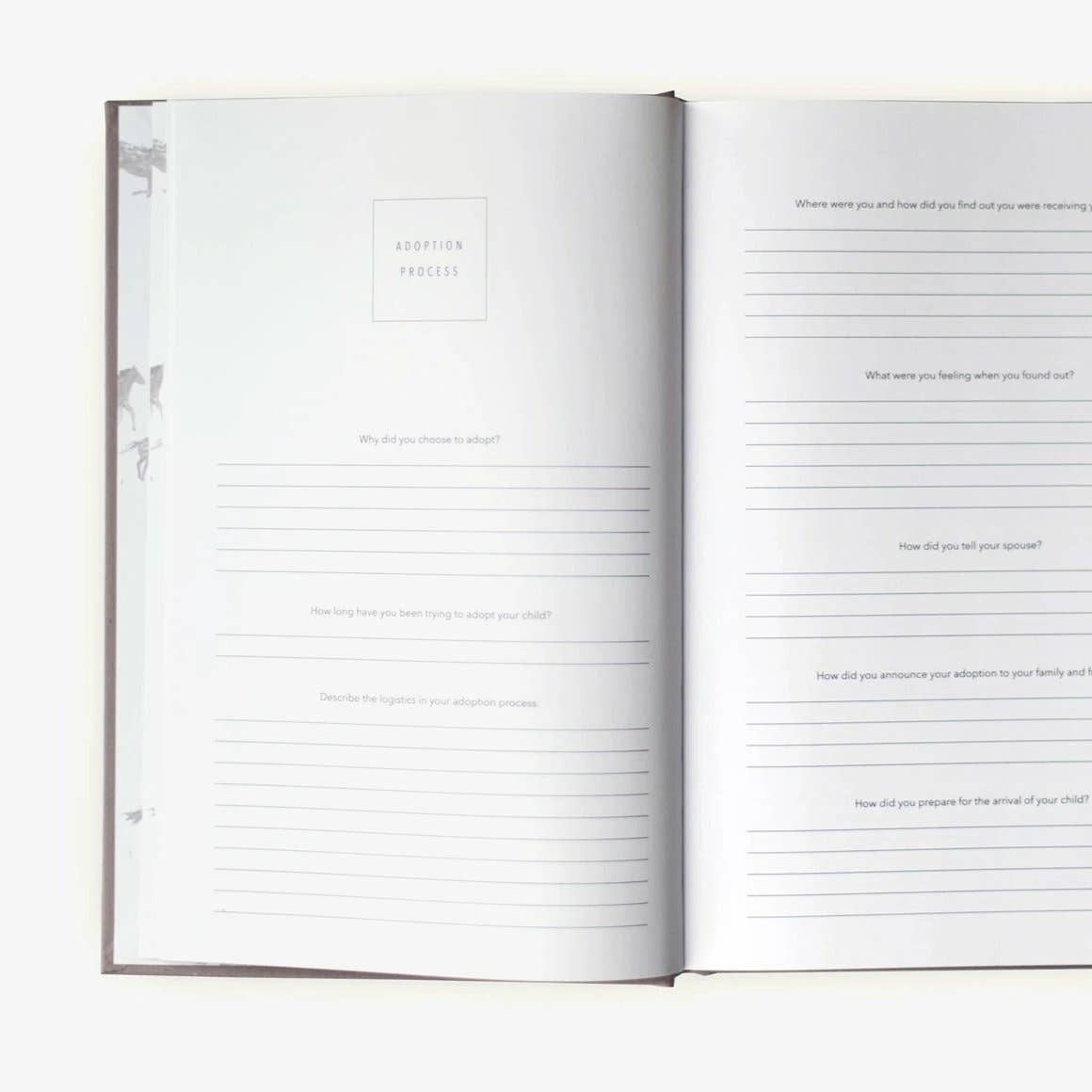 A Complete Childhood History - Adoption Keepsake Journal: Grey Linen