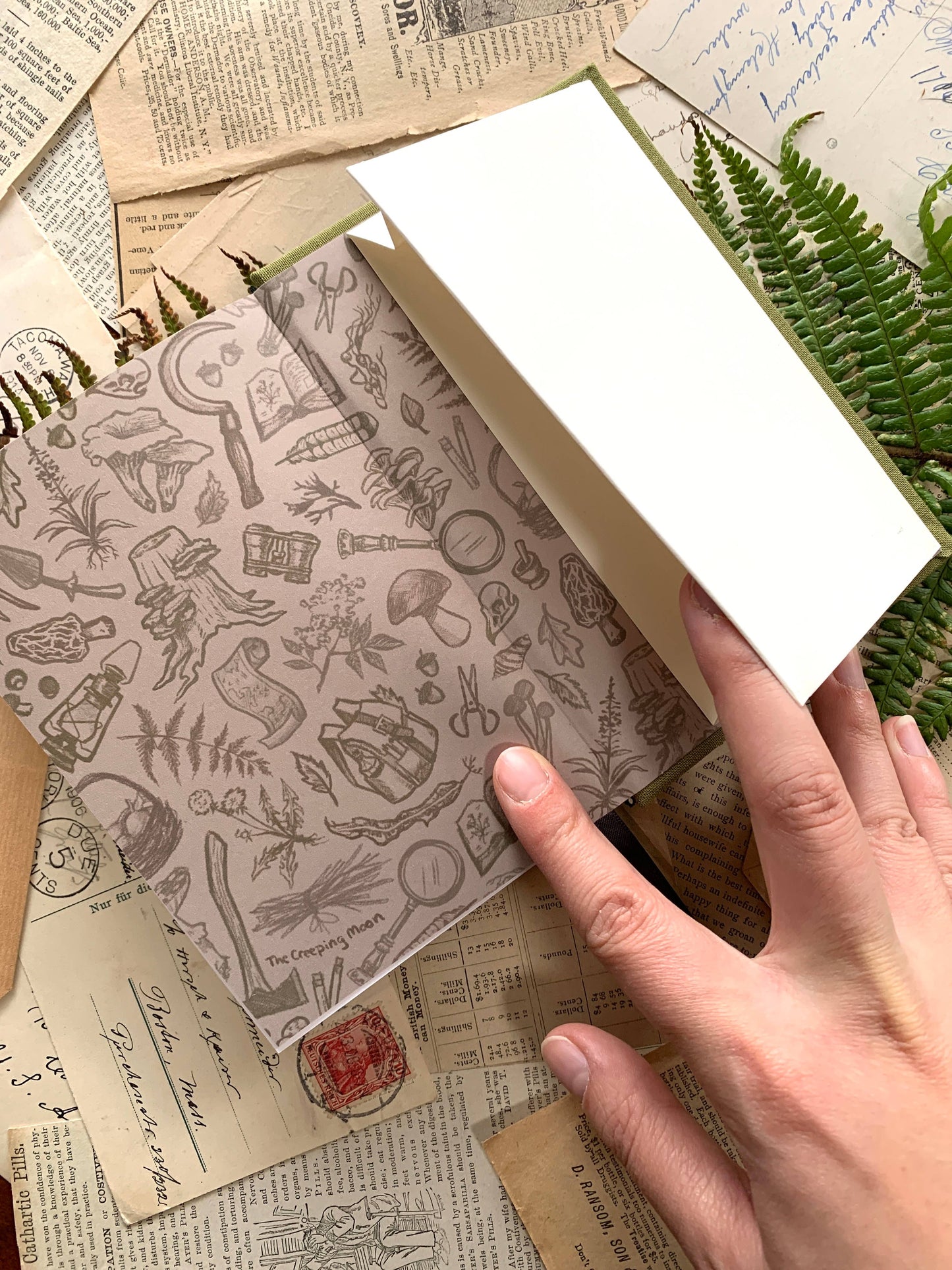 🌾 Foraging A6 Field Journal