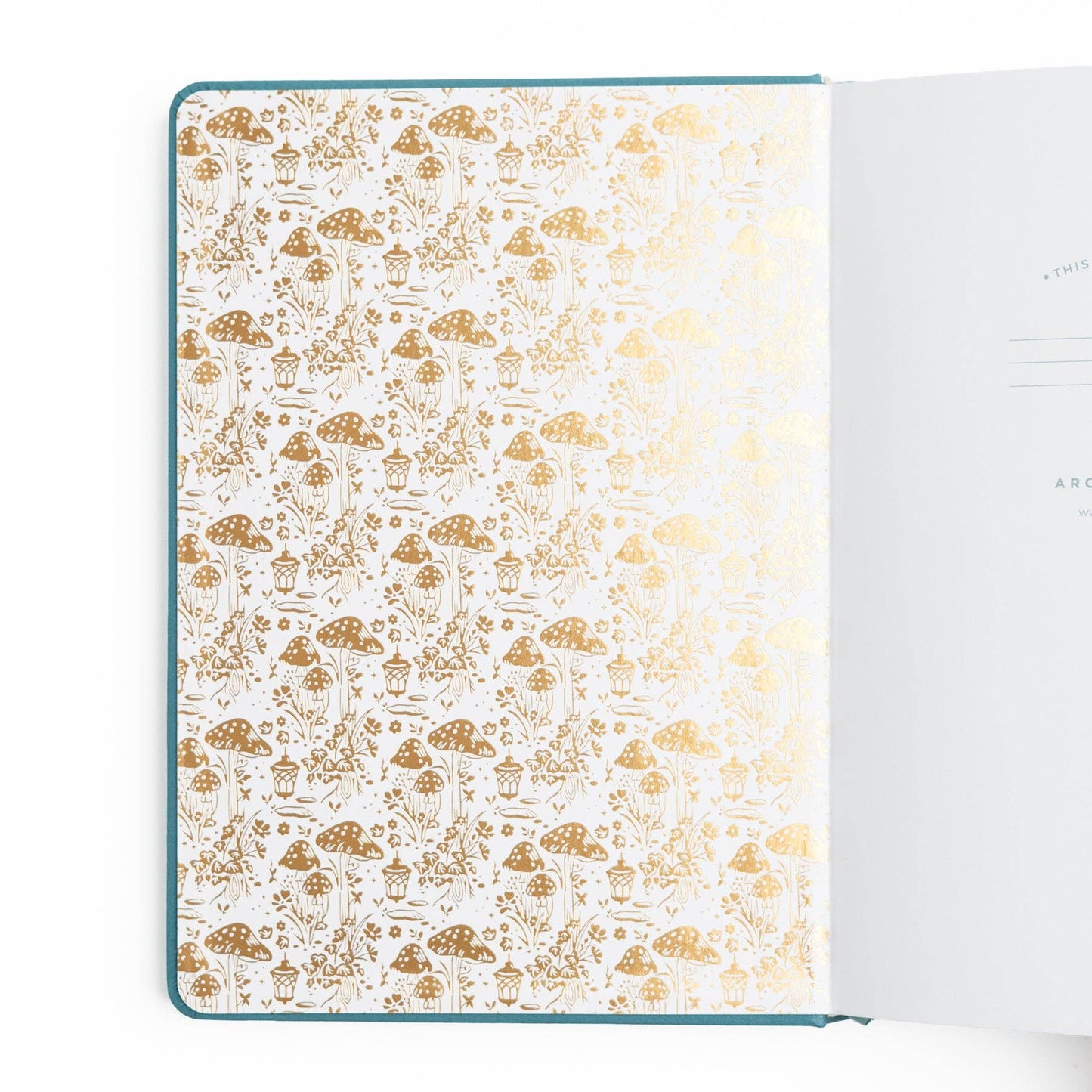 Fairy House | Notebook: Dot Grid / 8x8: 160 Pages