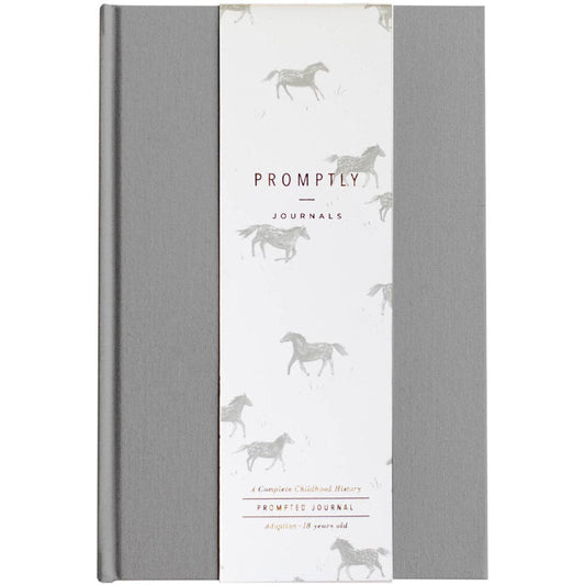 A Complete Childhood History - Adoption Keepsake Journal: Grey Linen