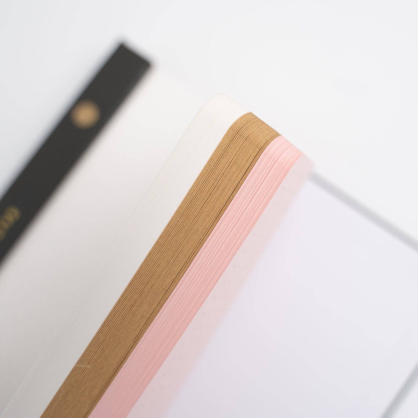 Fall Neapolitan Dot Grid Notepad B6