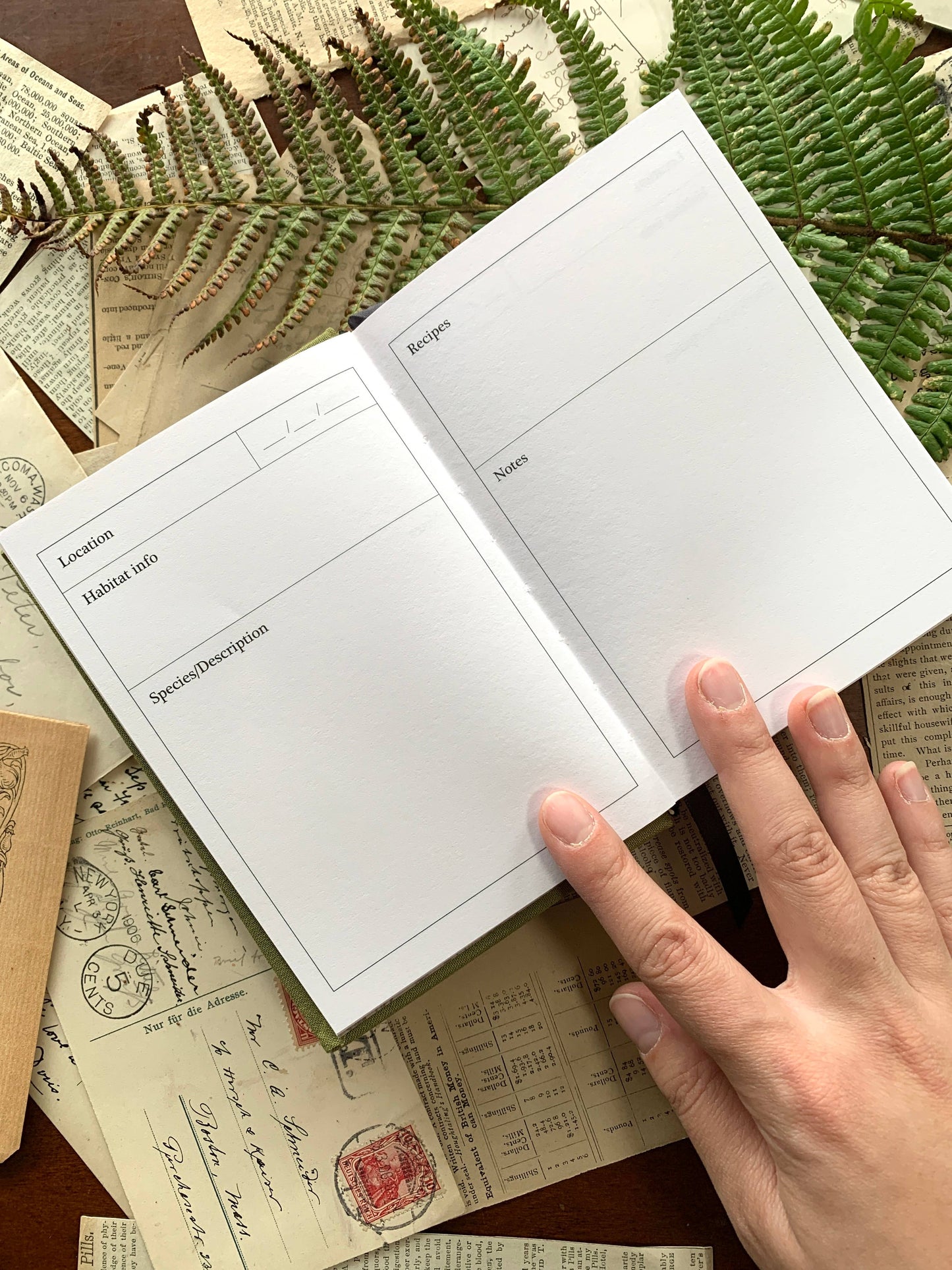 🌾 Foraging A6 Field Journal