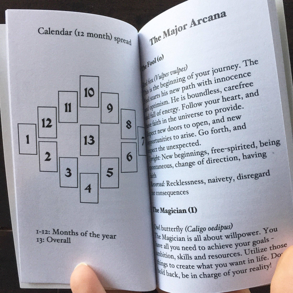 Anima Mundi Tarot Deck – 78 Cards + Guidebook