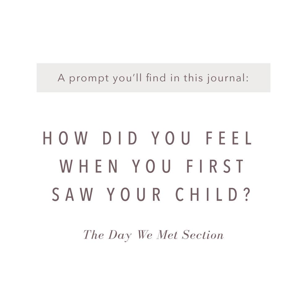 A Complete Childhood History - Adoption Keepsake Journal: Grey Linen