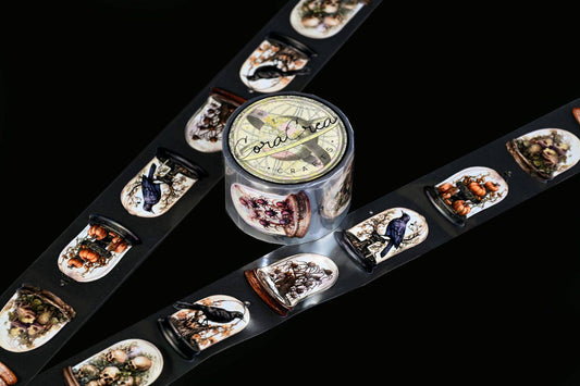 Specimen Display Domes Tapes: Transparent/PET tape