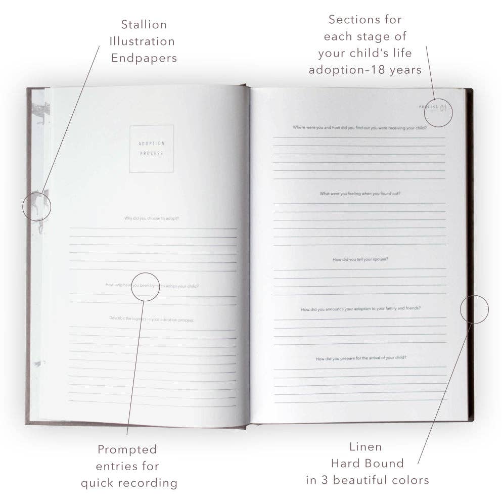 A Complete Childhood History - Adoption Keepsake Journal: Grey Linen