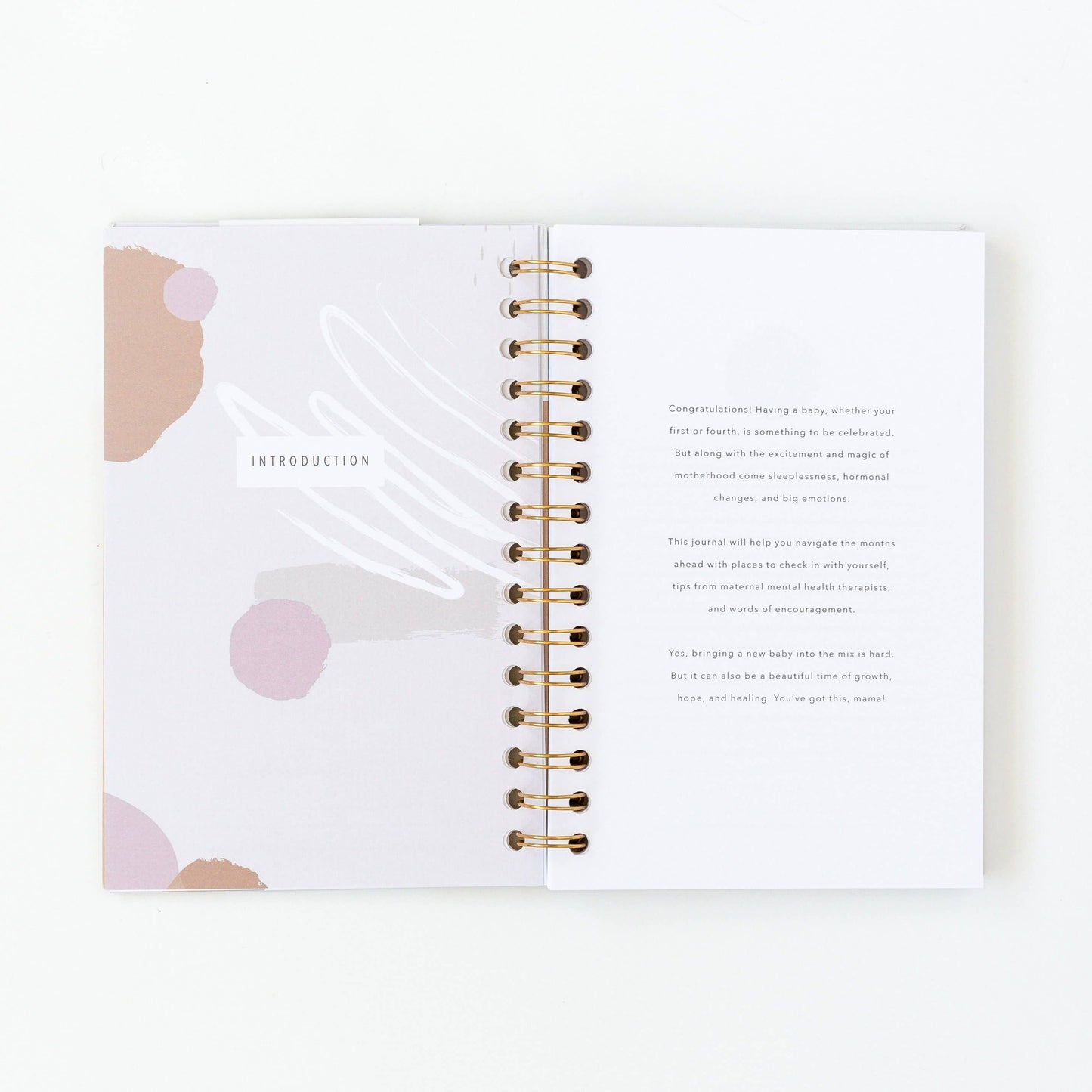 My Postpartum Journal: Cashew Leatherette