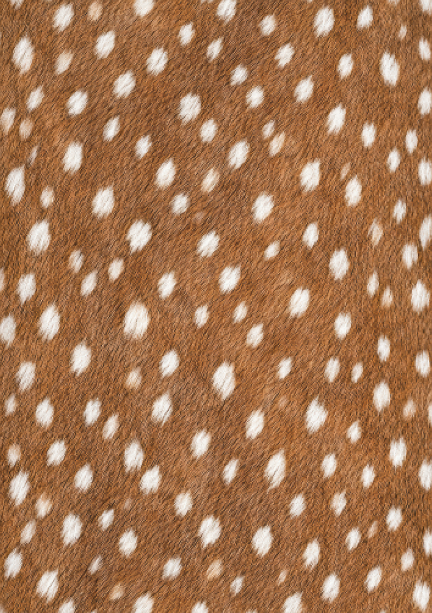 Dear Autumn Scrapbooking Paper