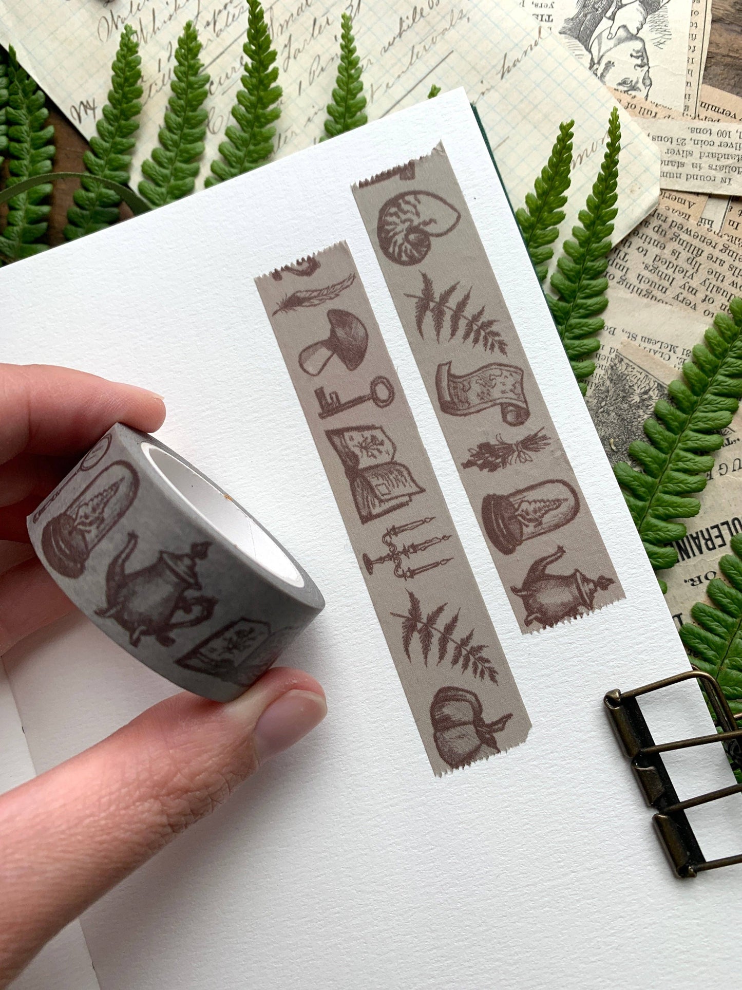 ✏️ Vintage Sketches Washi Tape