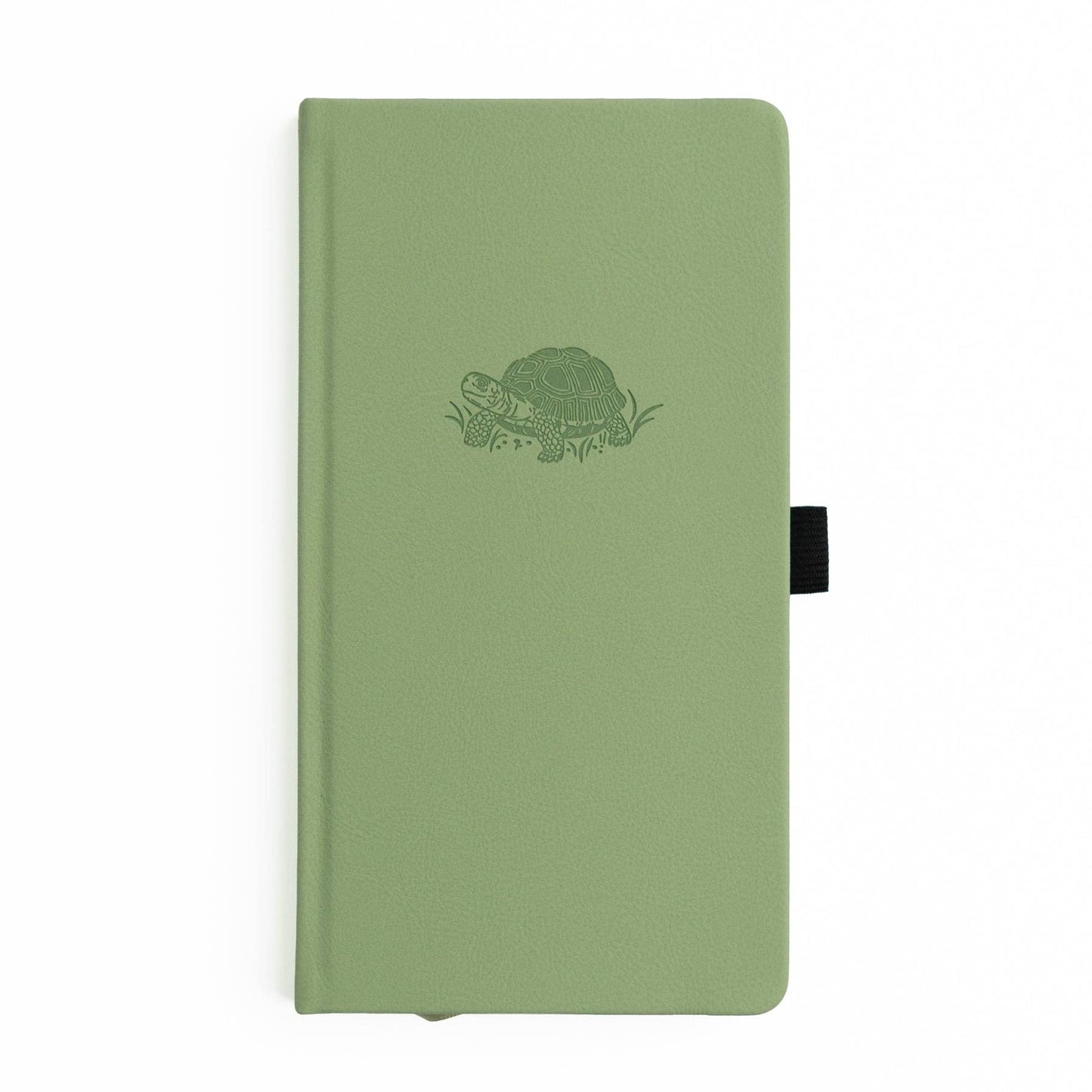Special Edition | Turtle Notebook: 8x8: 160 Pages