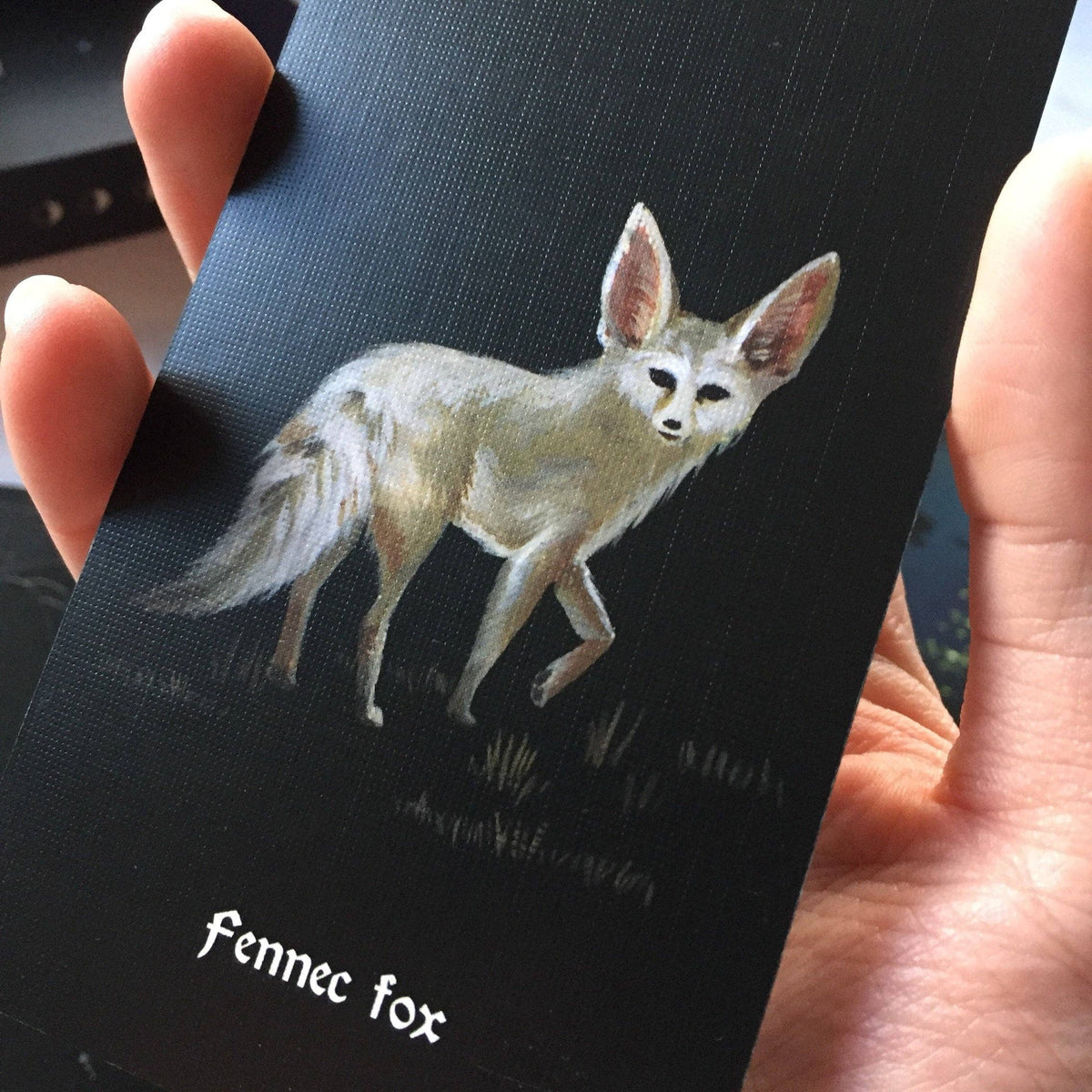 Nocturna Oracle Deck – 48 Cards + Guidebook