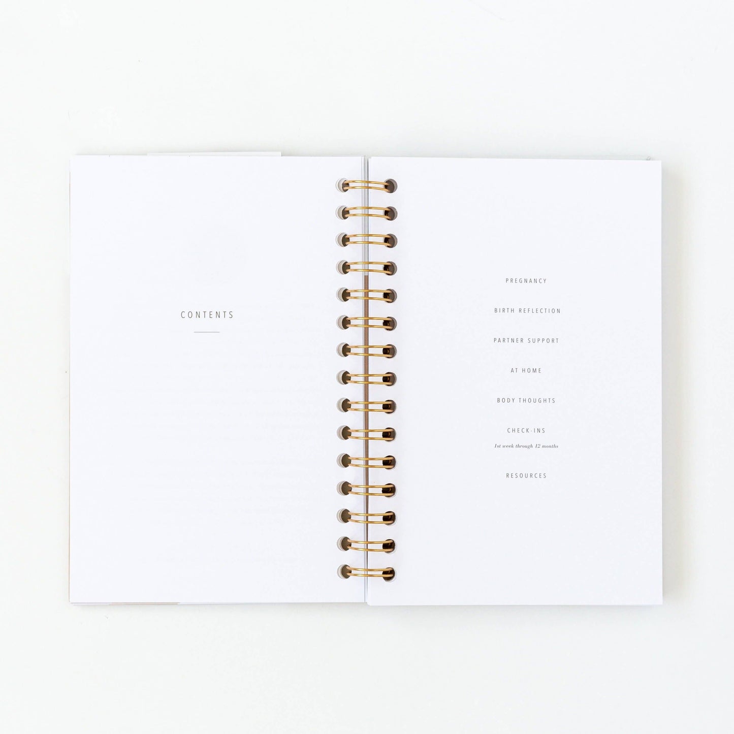 My Postpartum Journal: Cashew Leatherette