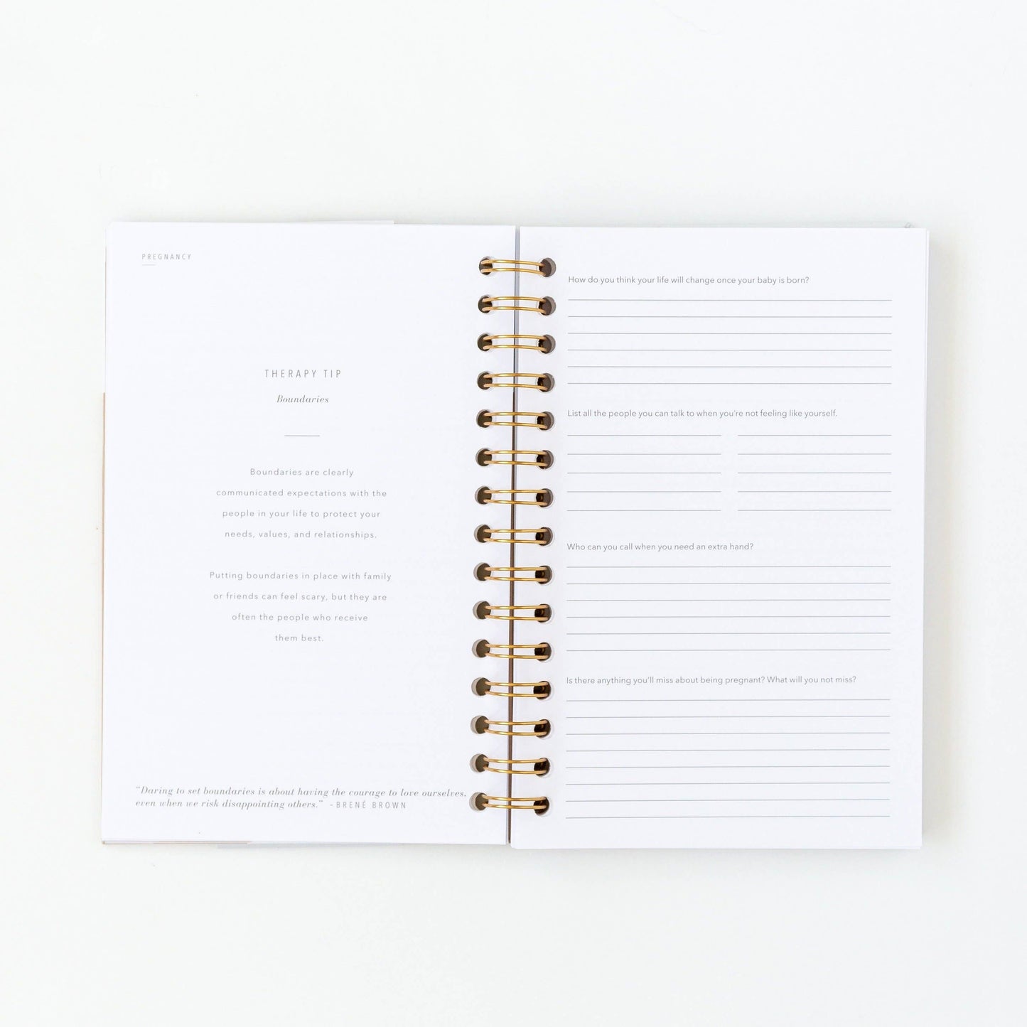 My Postpartum Journal: Cashew Leatherette