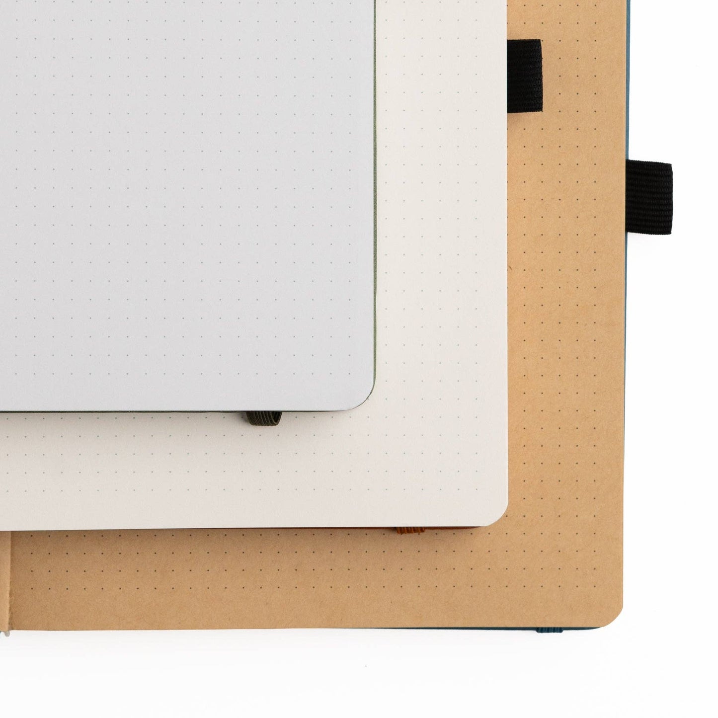 Moonlit Garden | Books: Ivory Dot Grid / 8x8: 160 Pages
