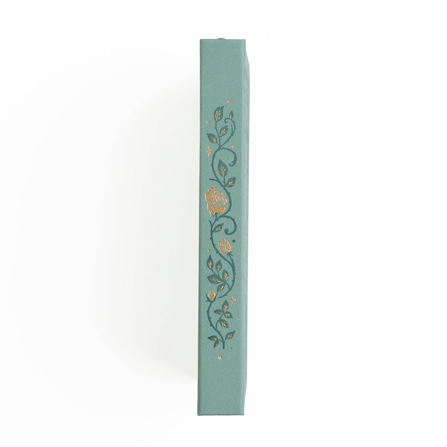 A5 Reading Journal: Books of Beauty