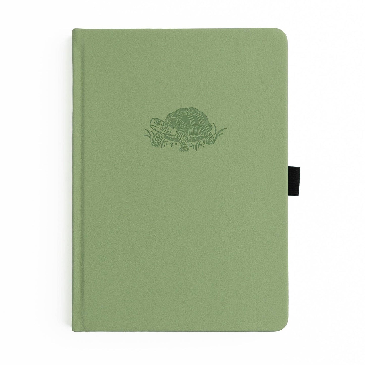 Special Edition | Turtle Notebook: 8x8: 160 Pages