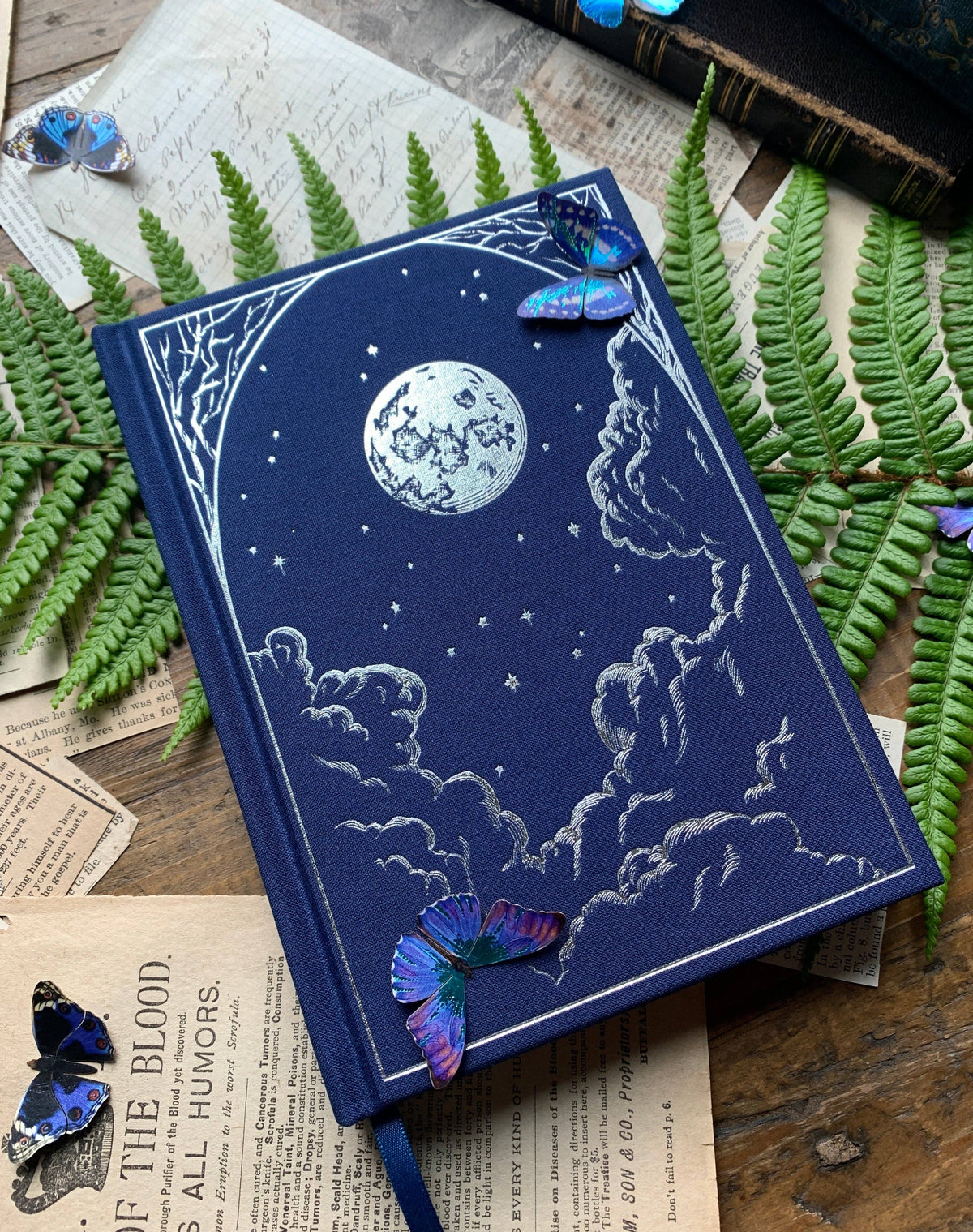 The Astronomer - B6 blank notebook - Silver