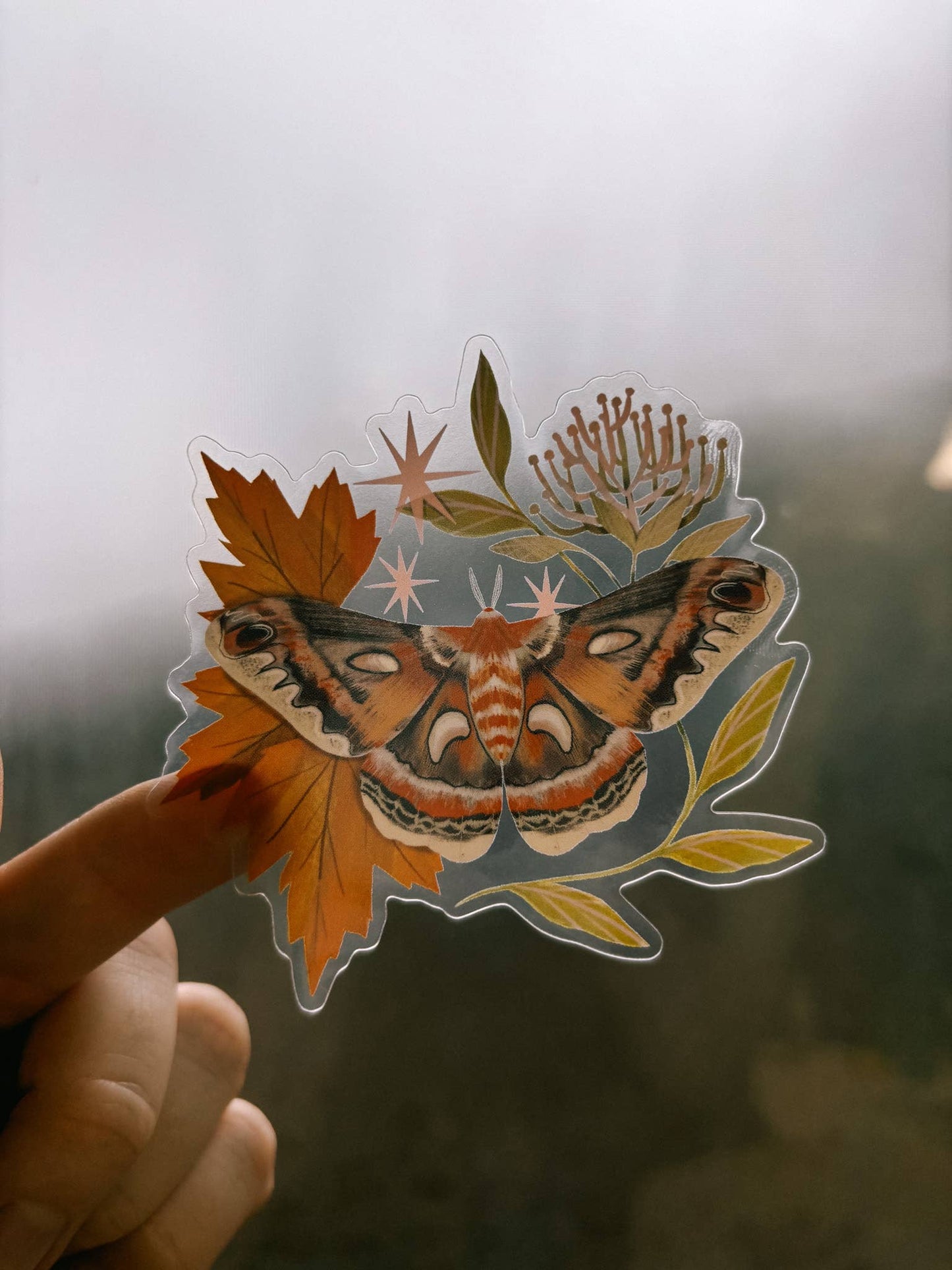 Cecropia Moth Clear Vinyl Sticker - 2x3"
