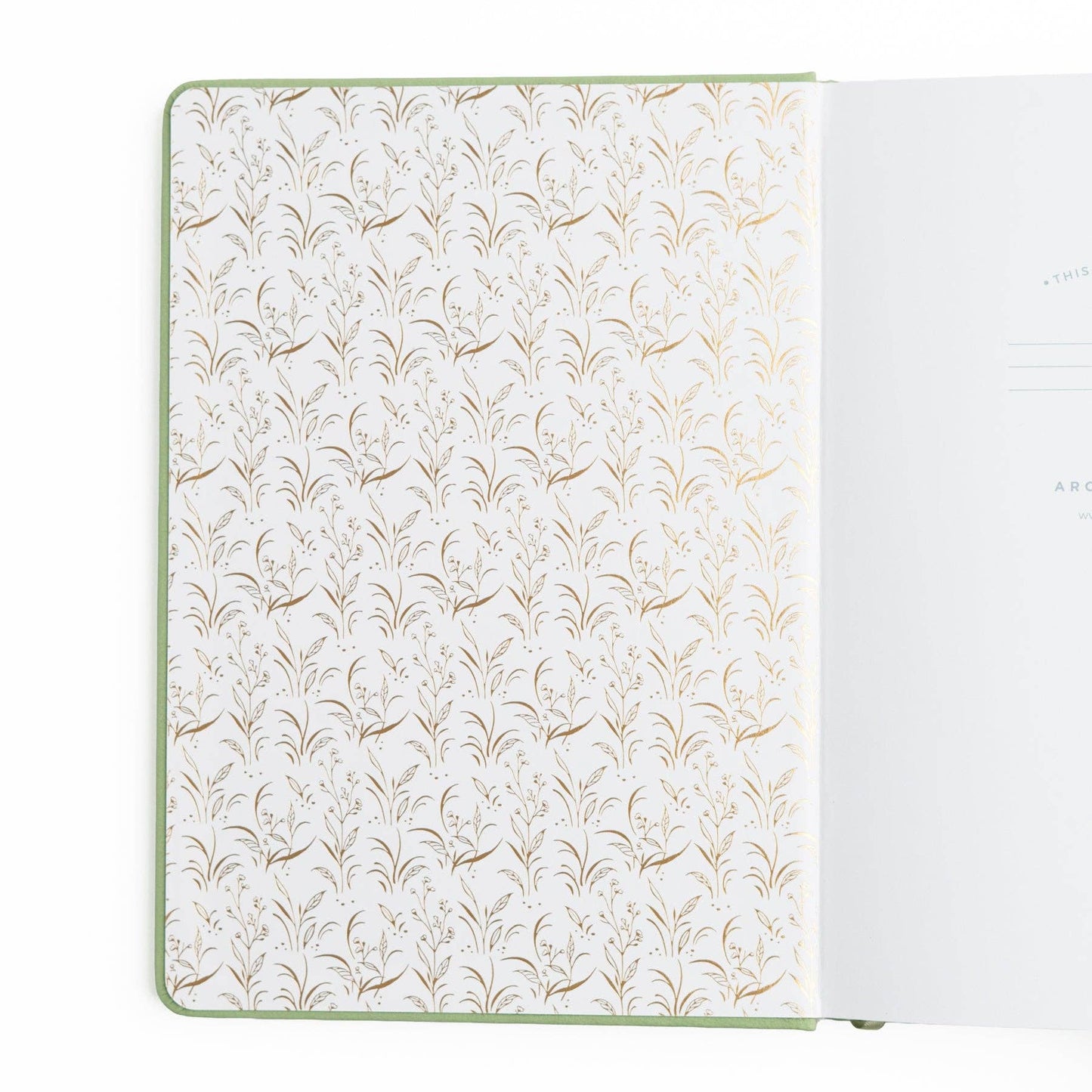 Special Edition | Turtle Notebook: 8x8: 160 Pages