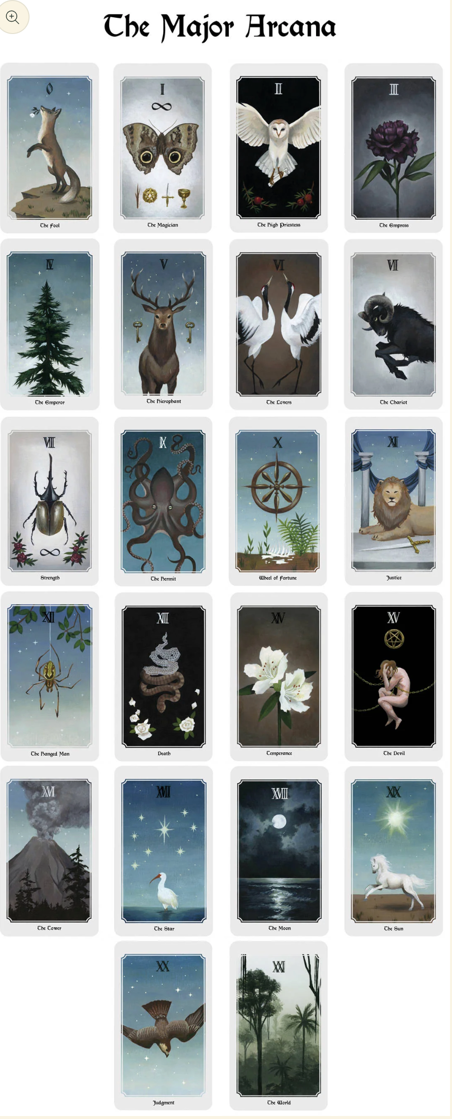 Anima Mundi Tarot Deck – 78 Cards + Guidebook