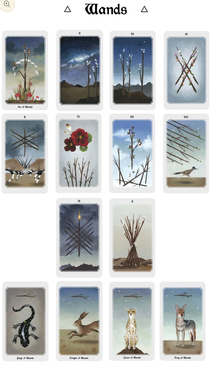 Anima Mundi Tarot Deck – 78 Cards + Guidebook