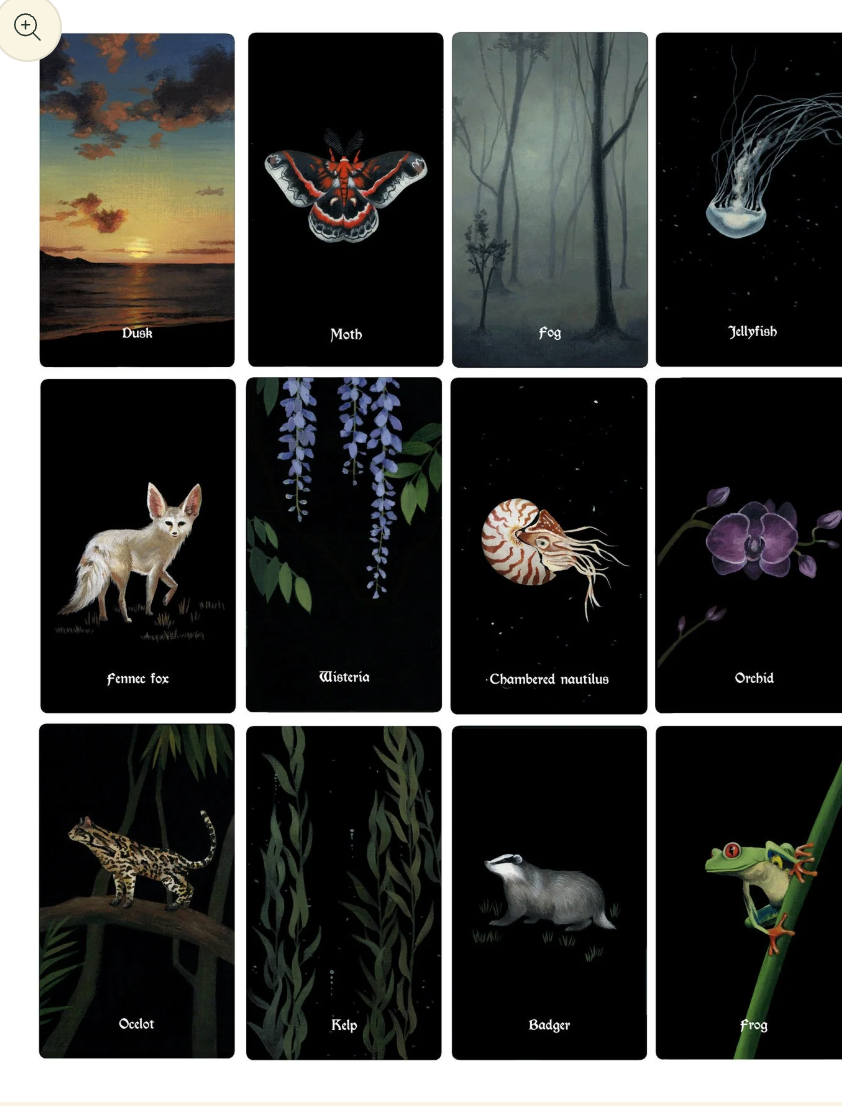 Nocturna Oracle Deck – 48 Cards + Guidebook