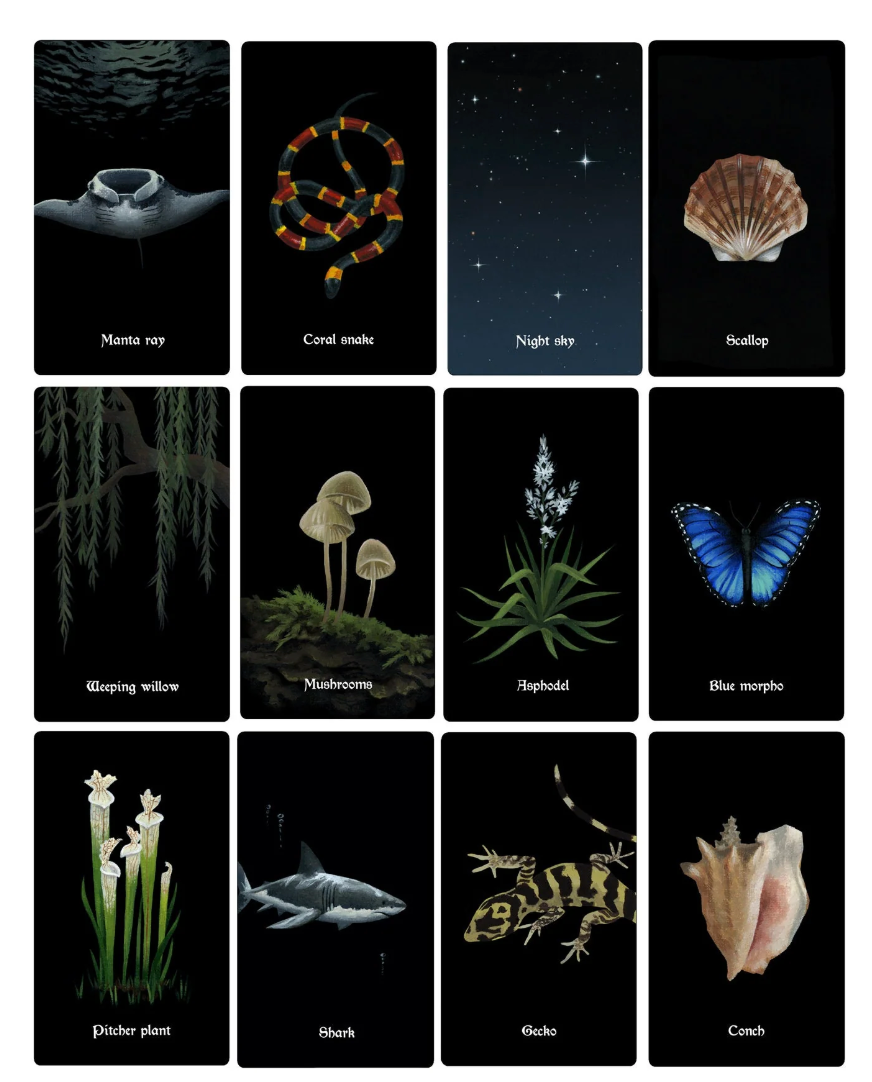 Nocturna Oracle Deck – 48 Cards + Guidebook