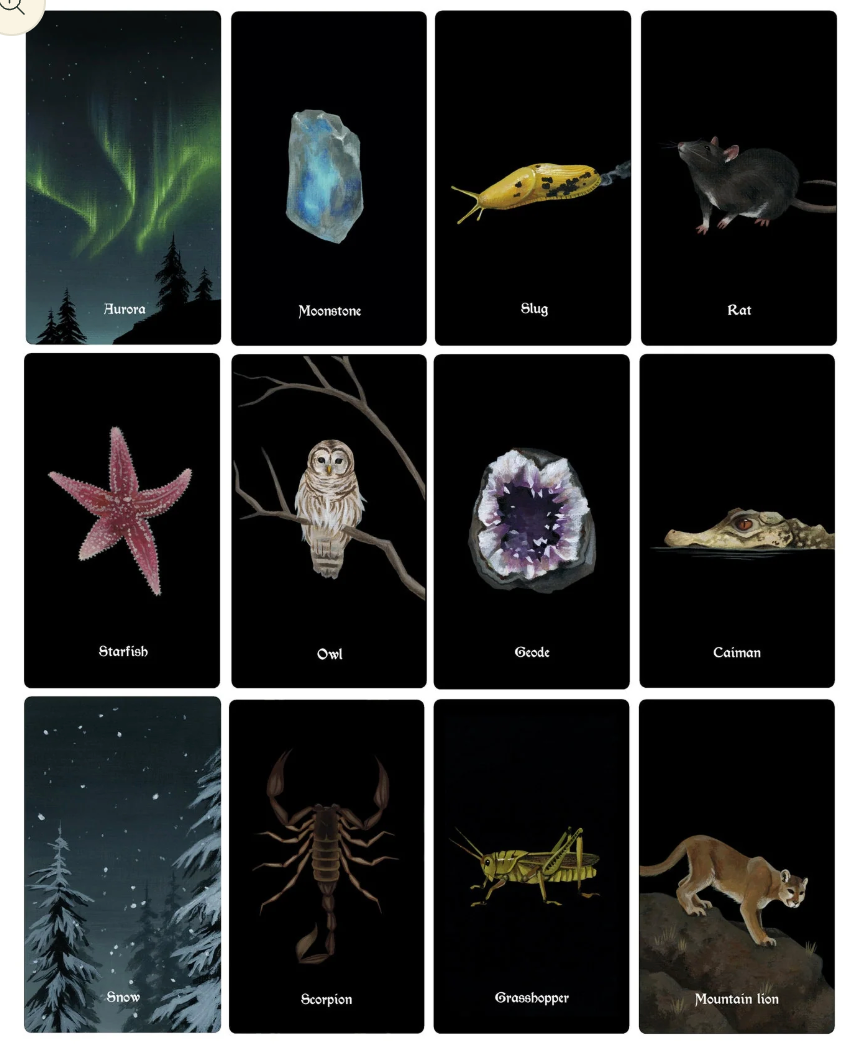 Nocturna Oracle Deck – 48 Cards + Guidebook
