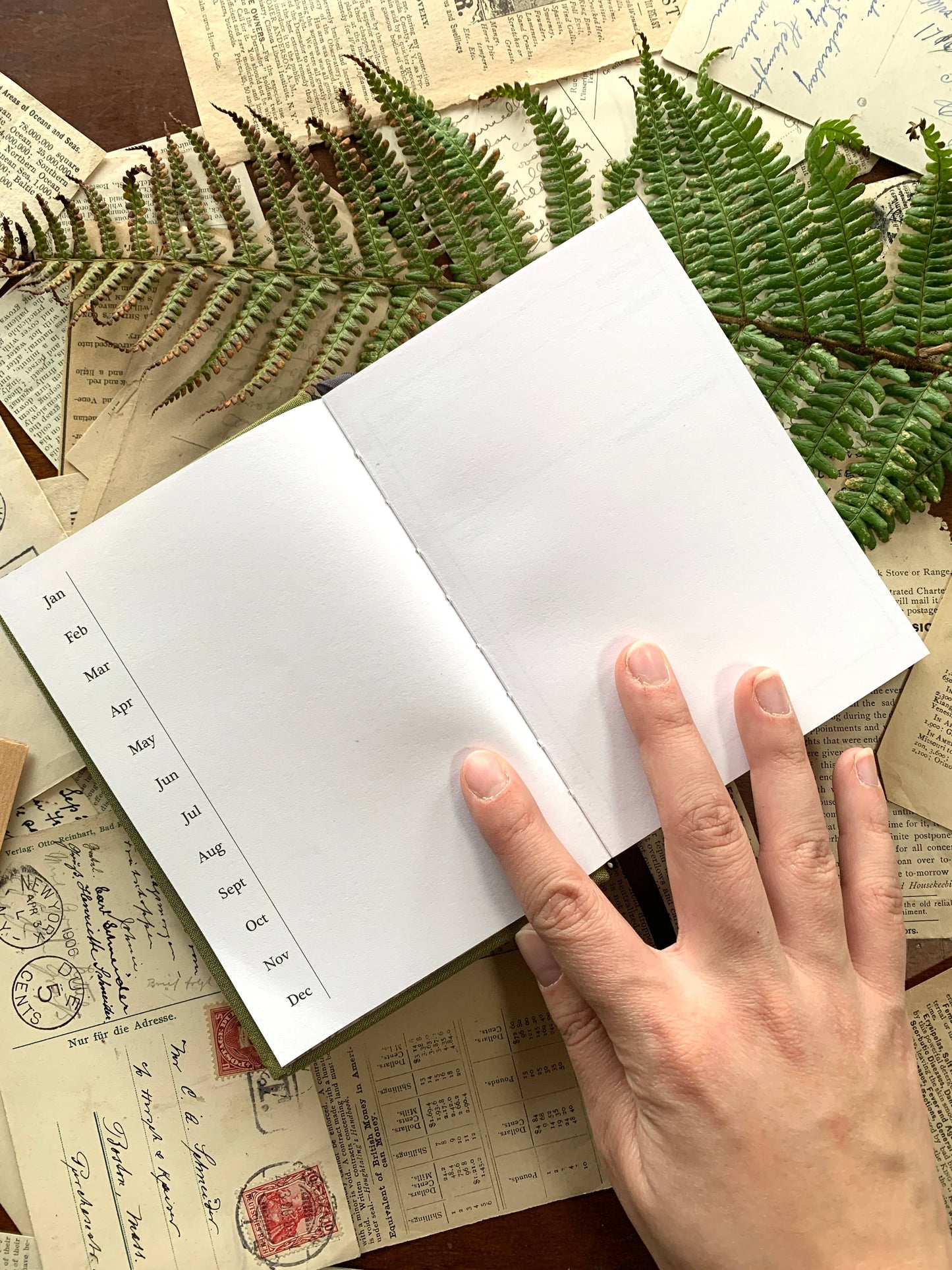 🌾 Foraging A6 Field Journal