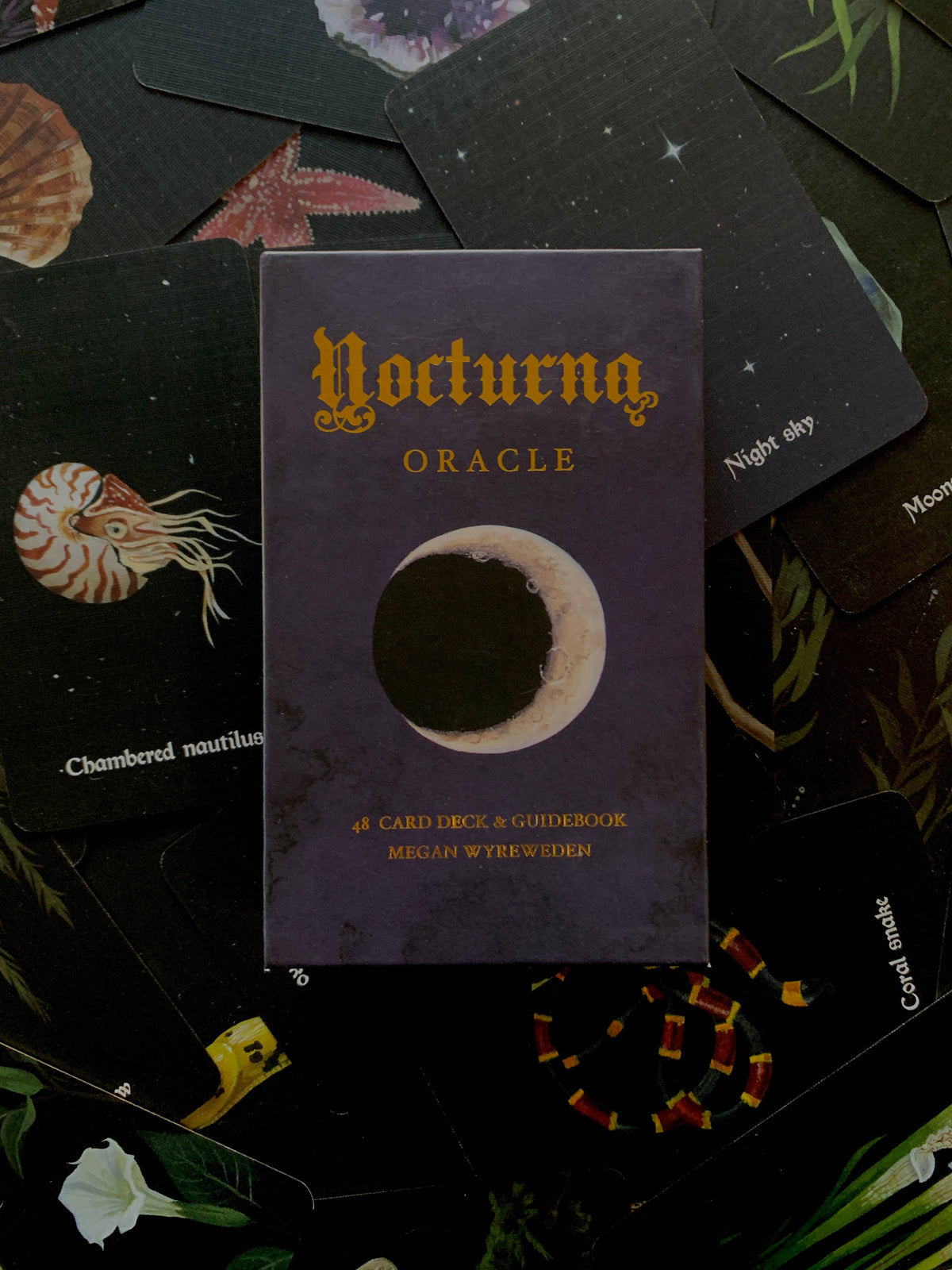 Nocturna Oracle Deck – 48 Cards + Guidebook